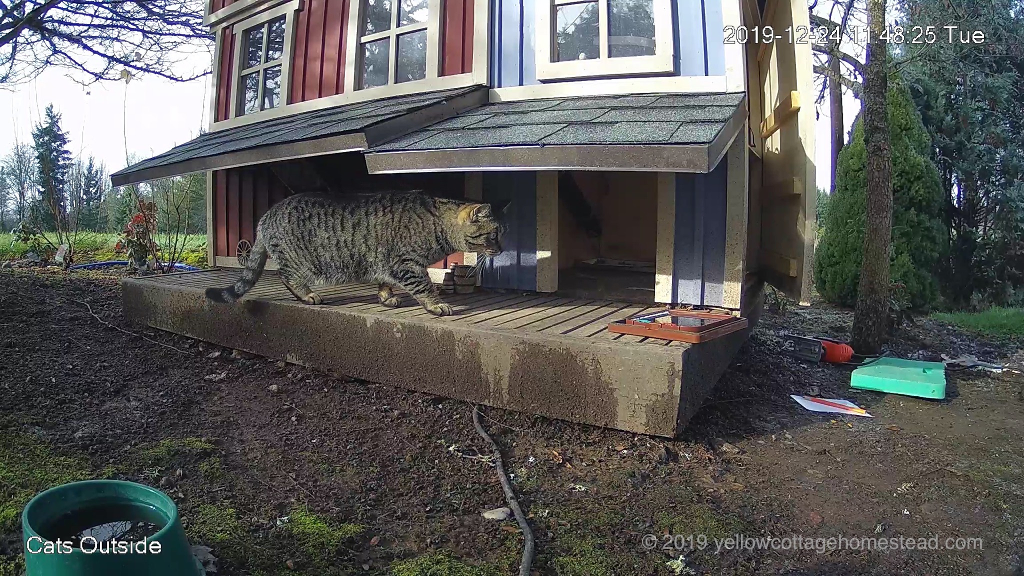 Cat door installation