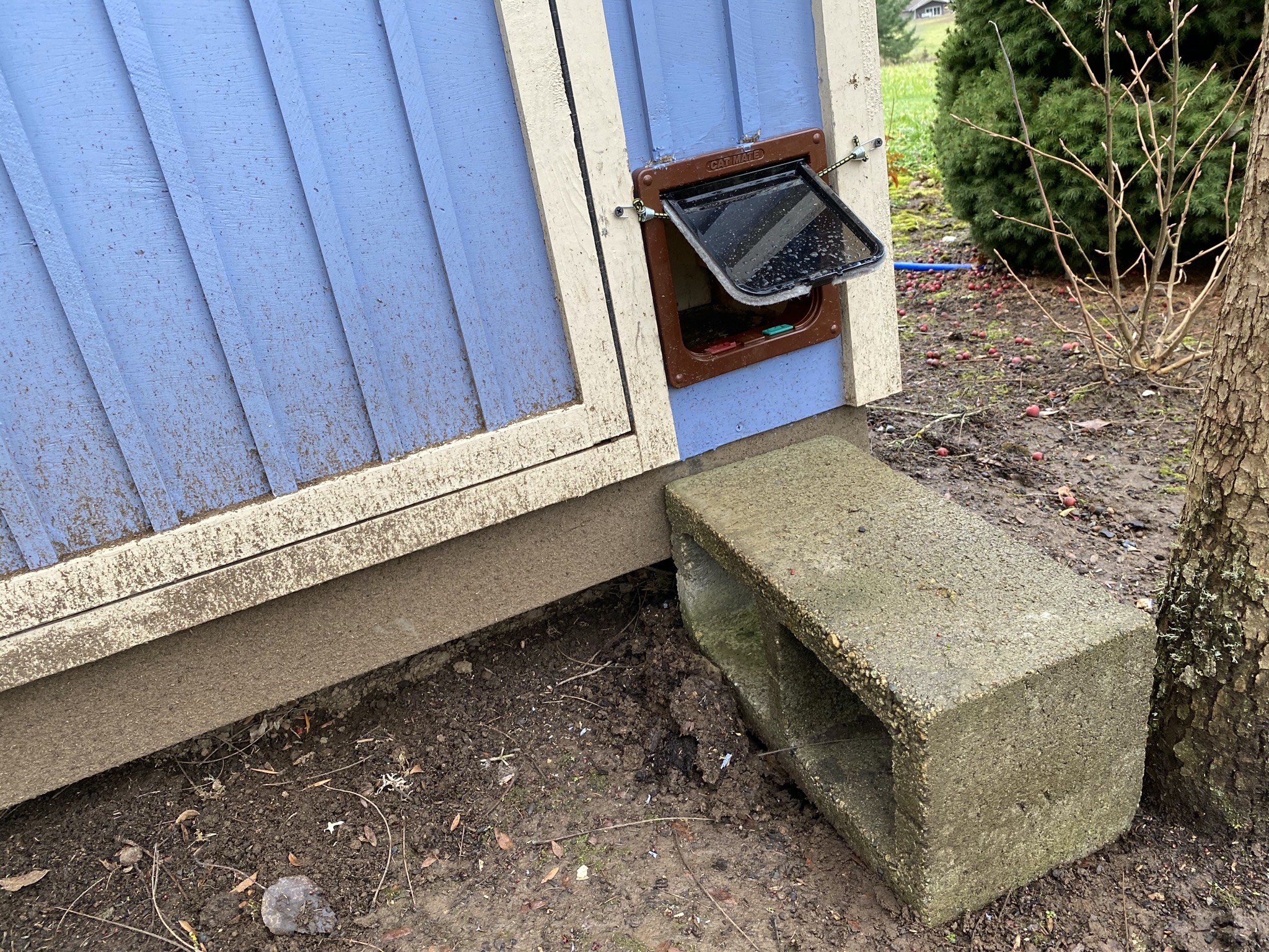 Back door open and step