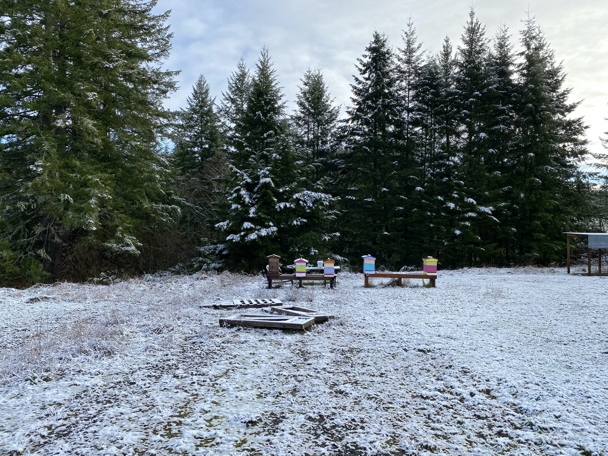 Snow