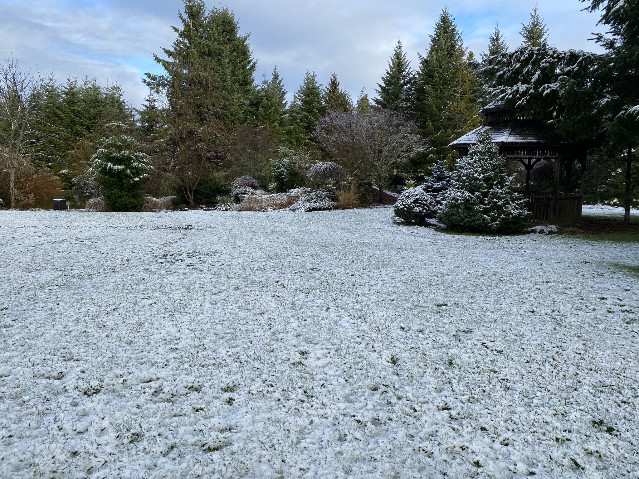 Snow