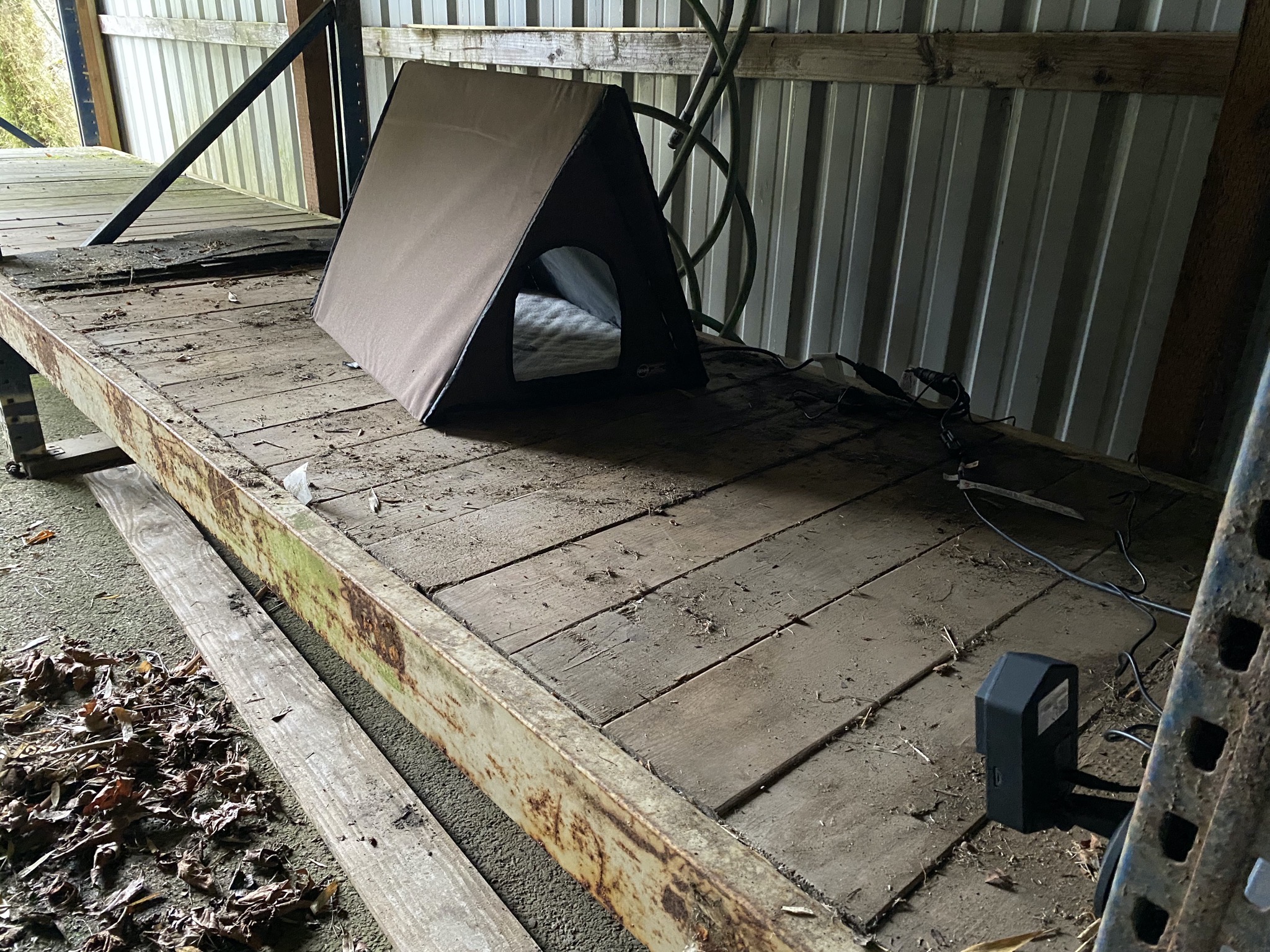 Cat shelter and cam