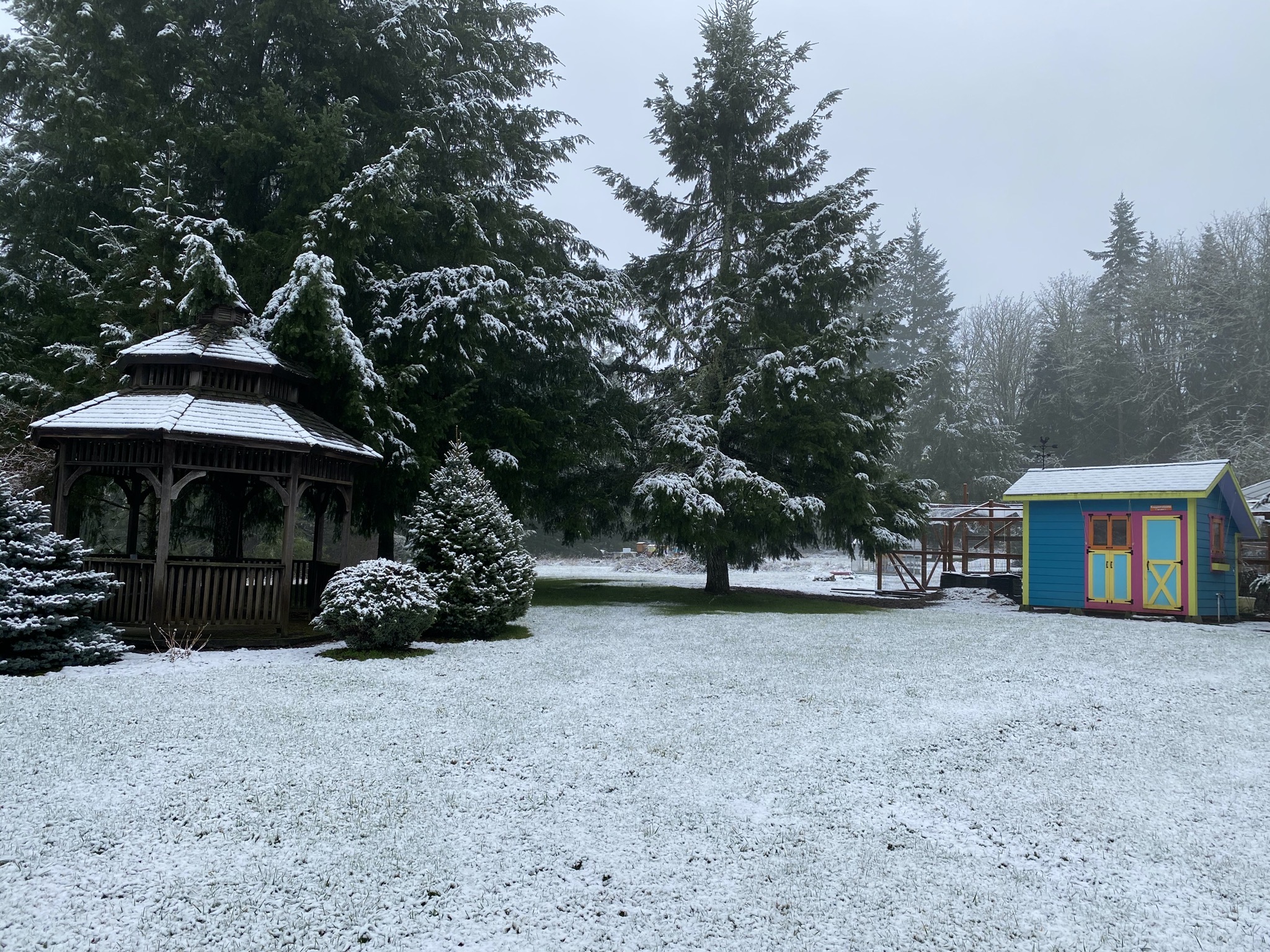 Brown gazebo and chicken coop with snow