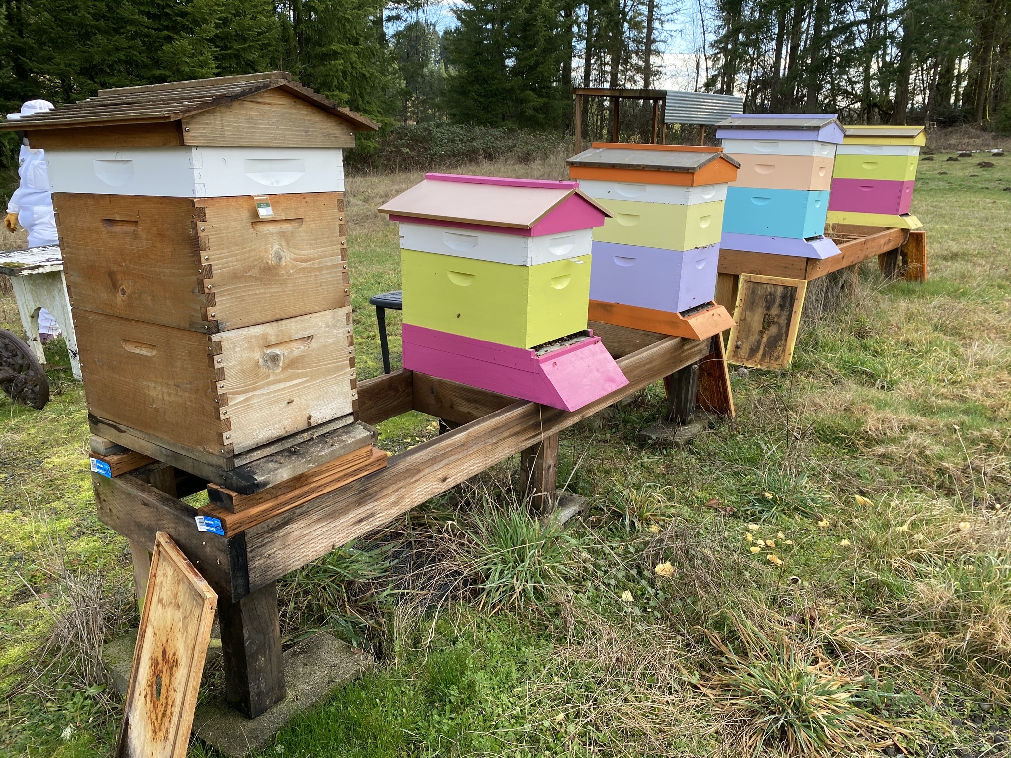 Beehives