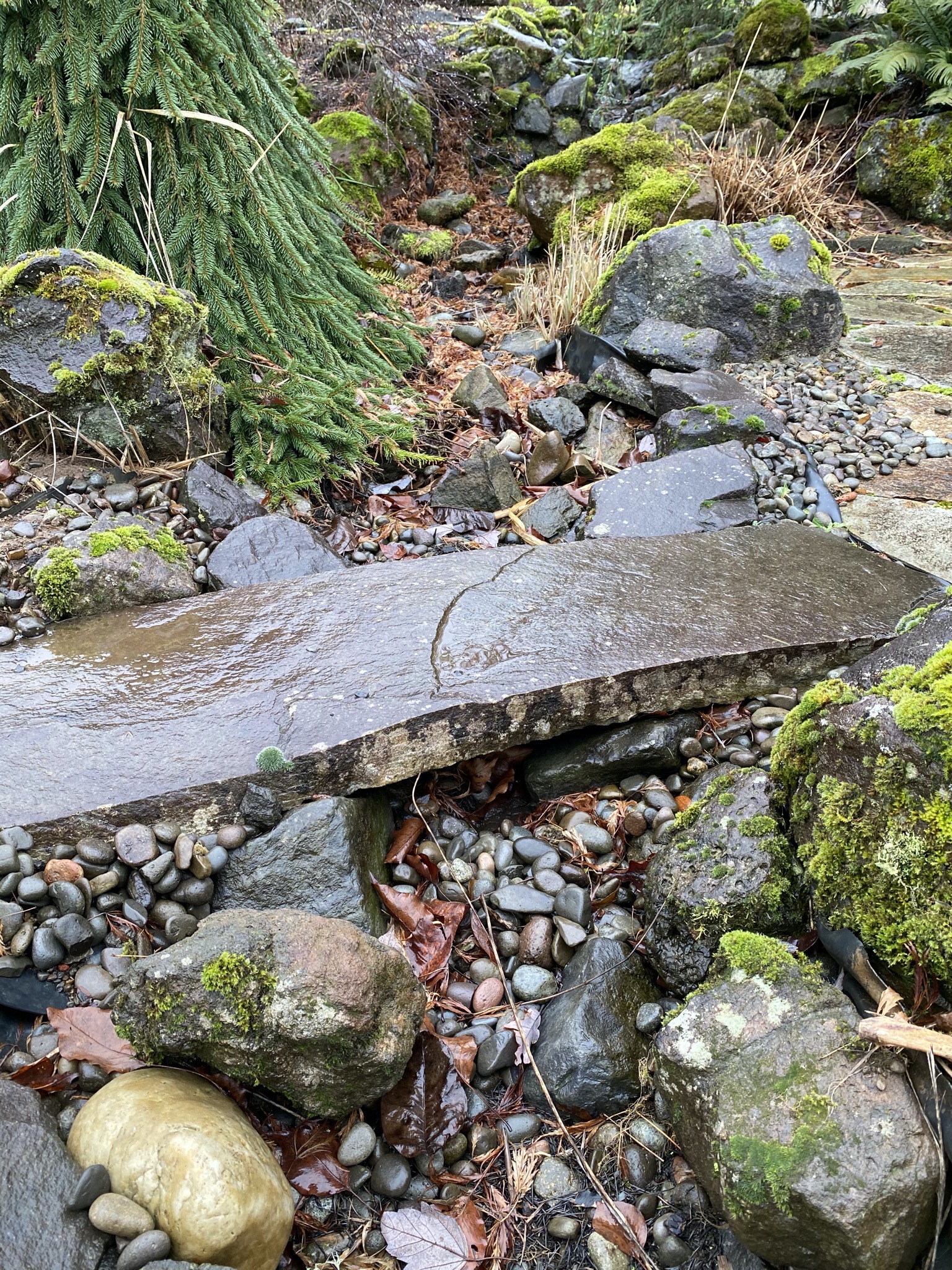 Stone bridge over stream bed