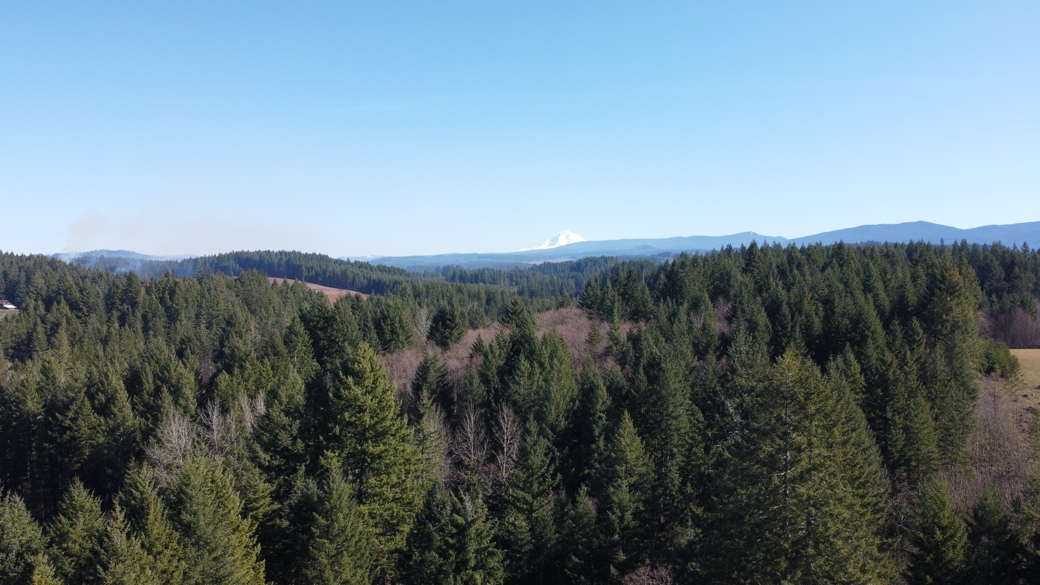 Mount Hood