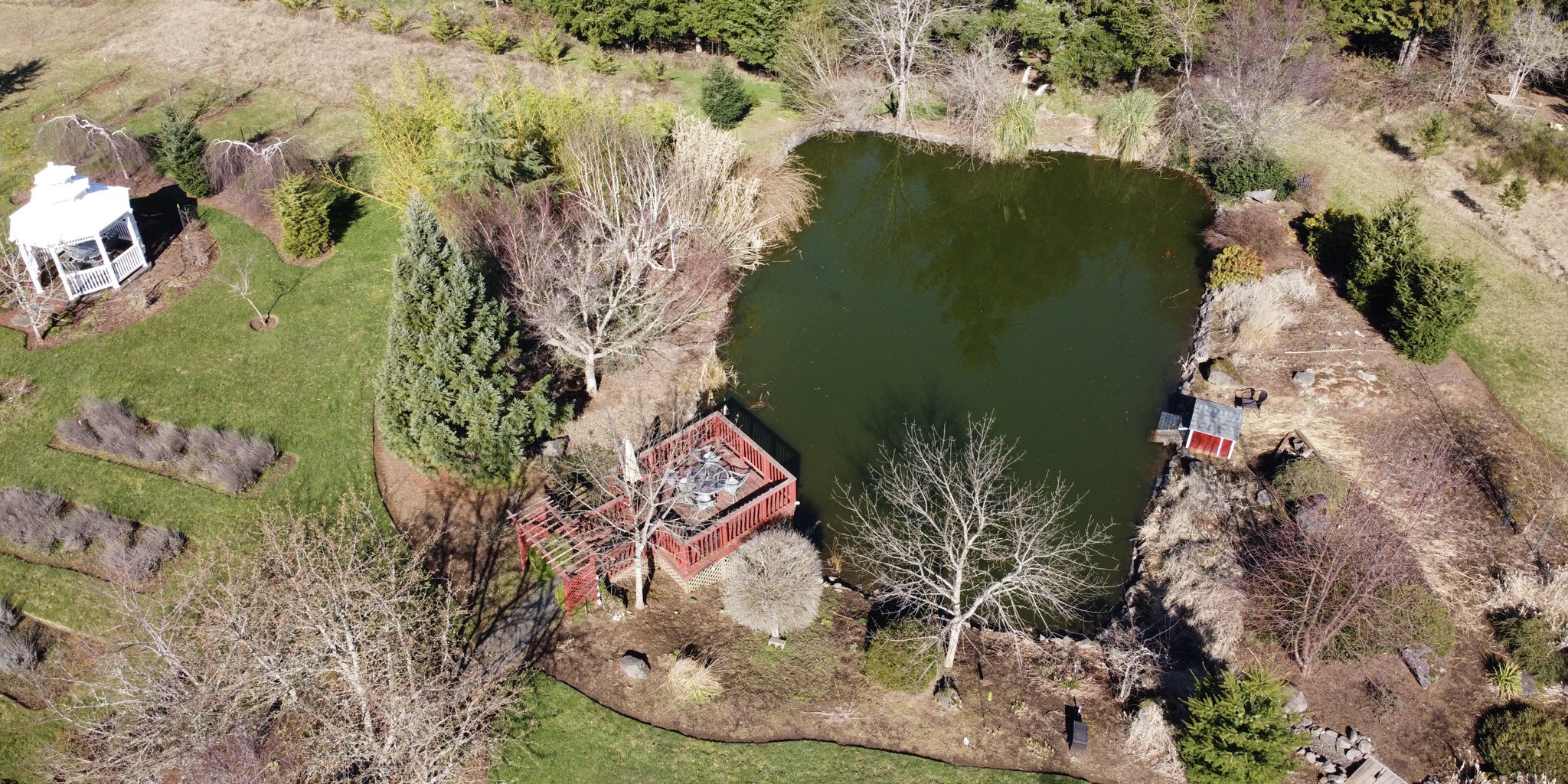 Aerial pic of pond