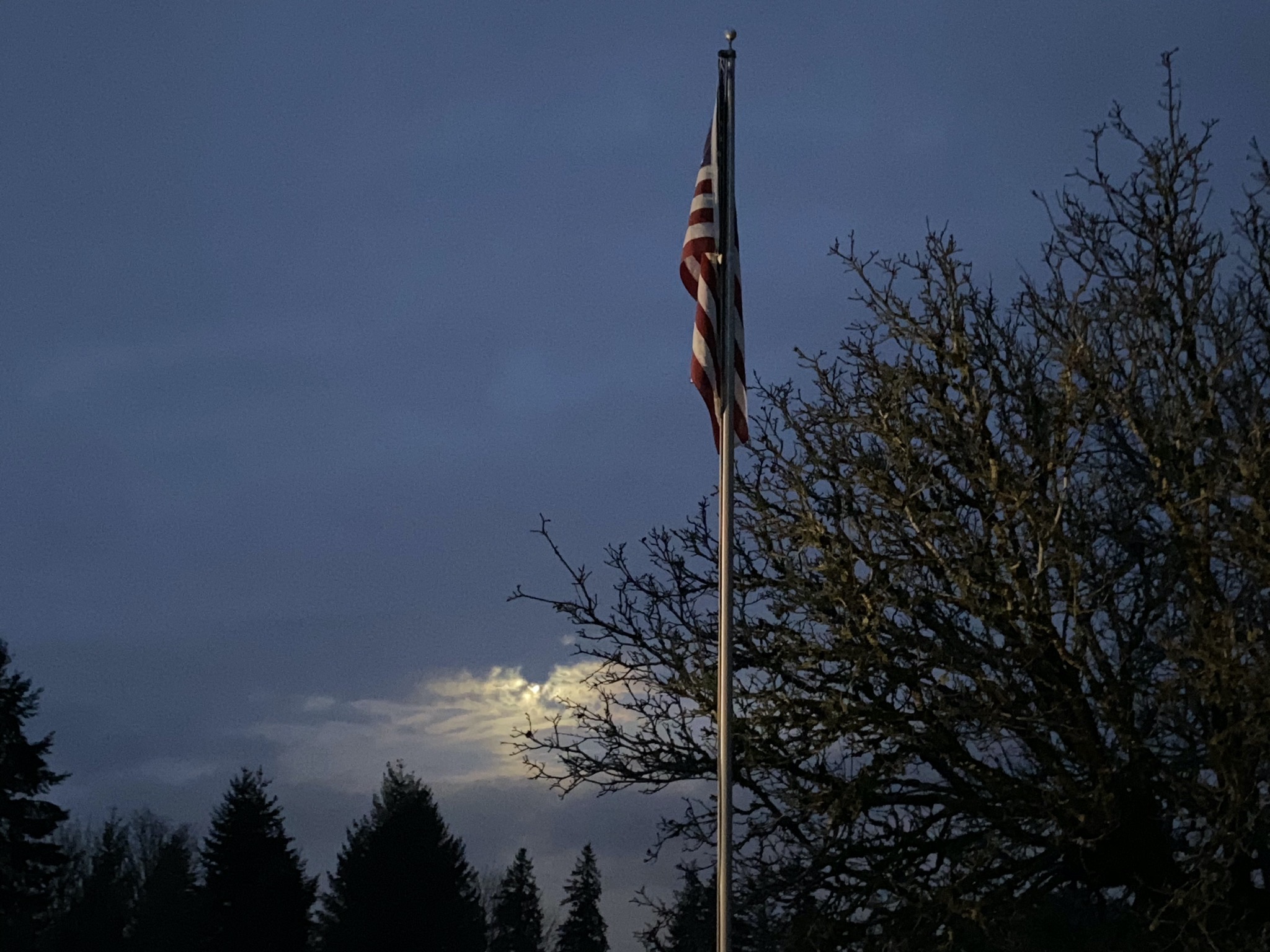 Flag