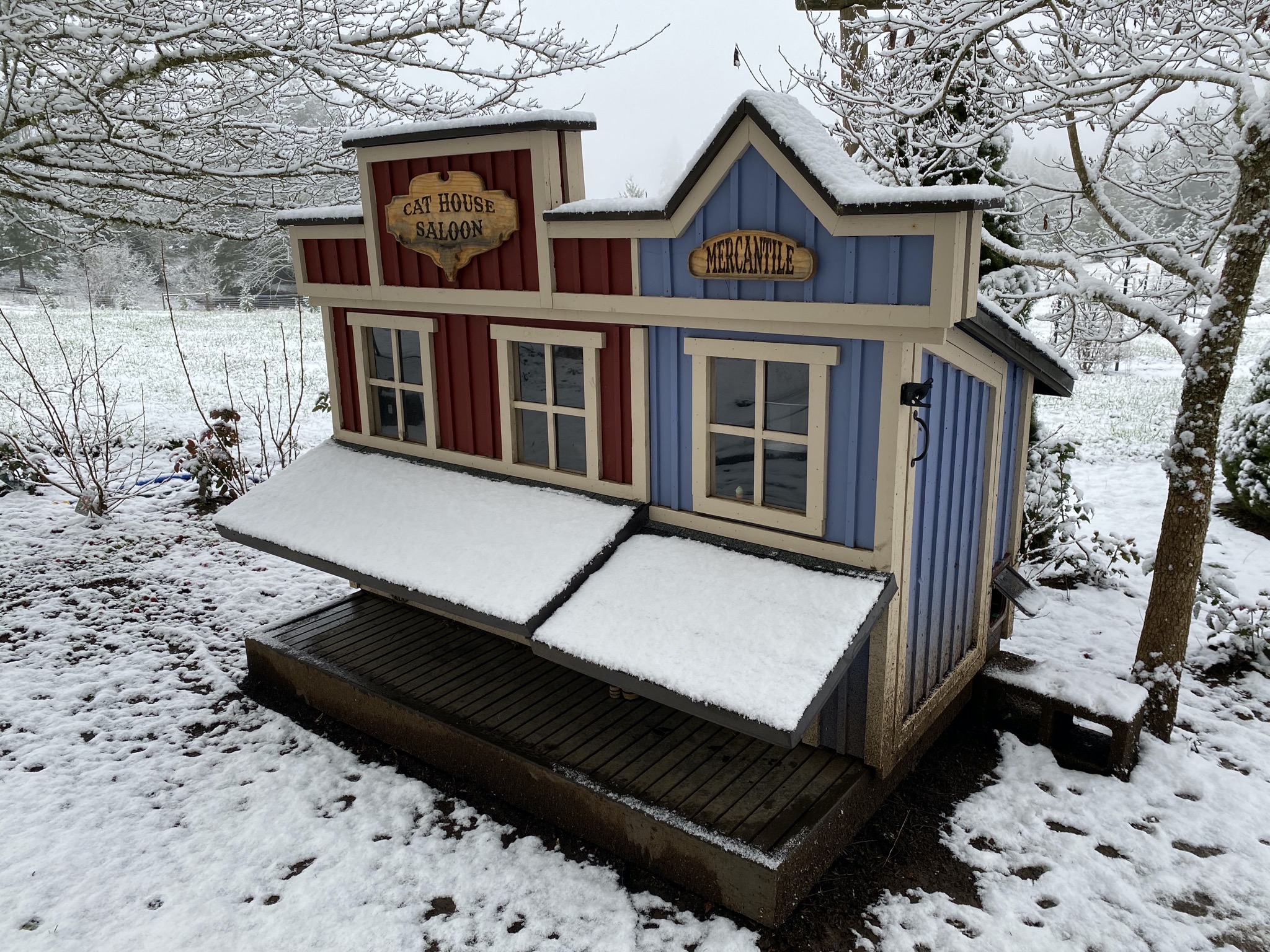 Cat house