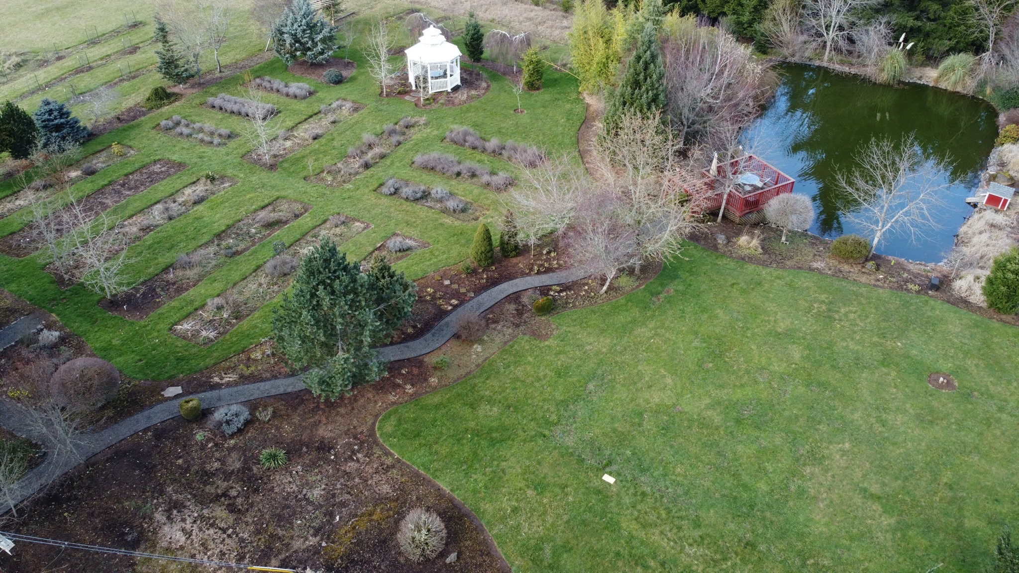Flowerbeds and pond