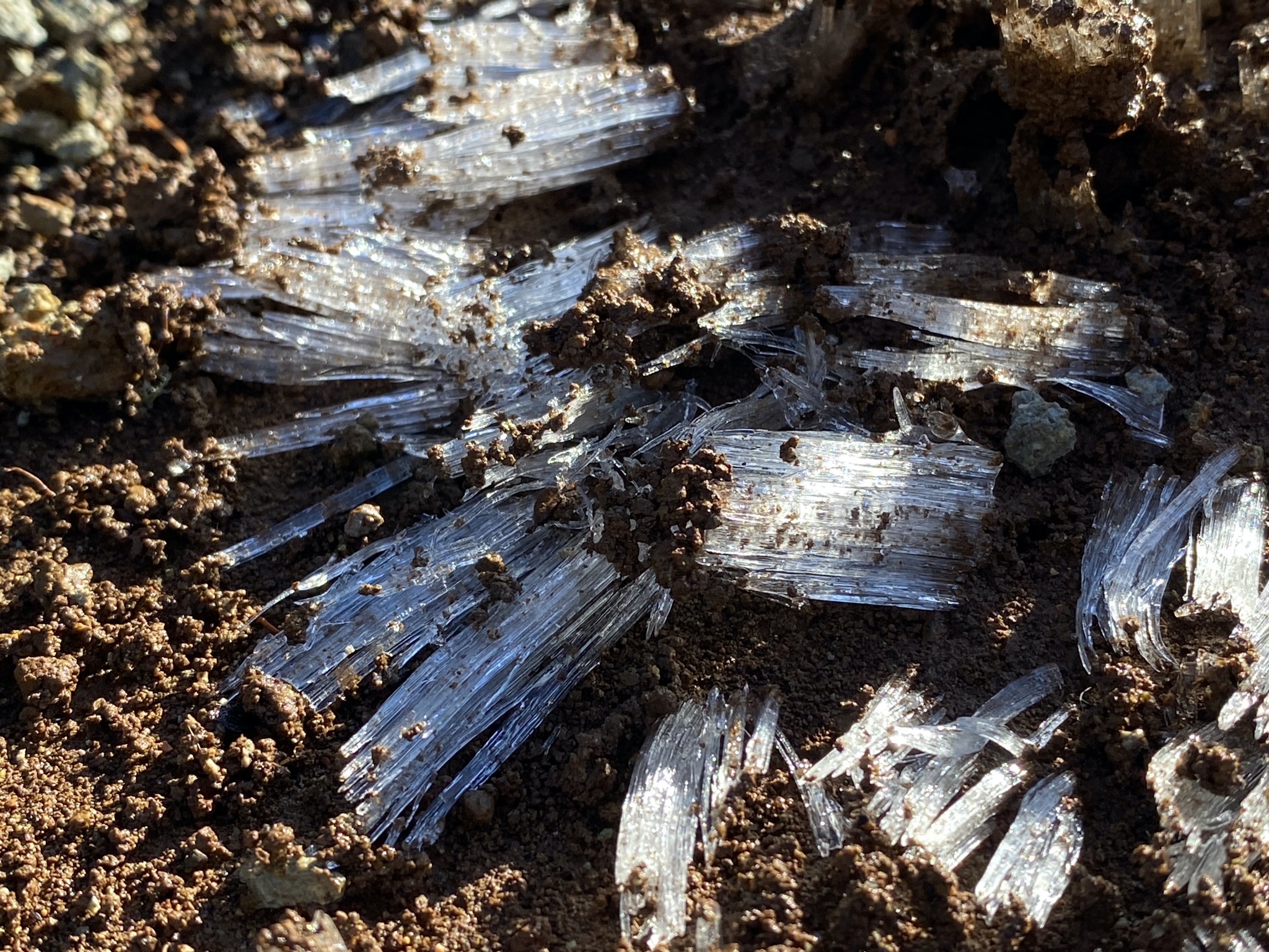 Ice spires in dirt