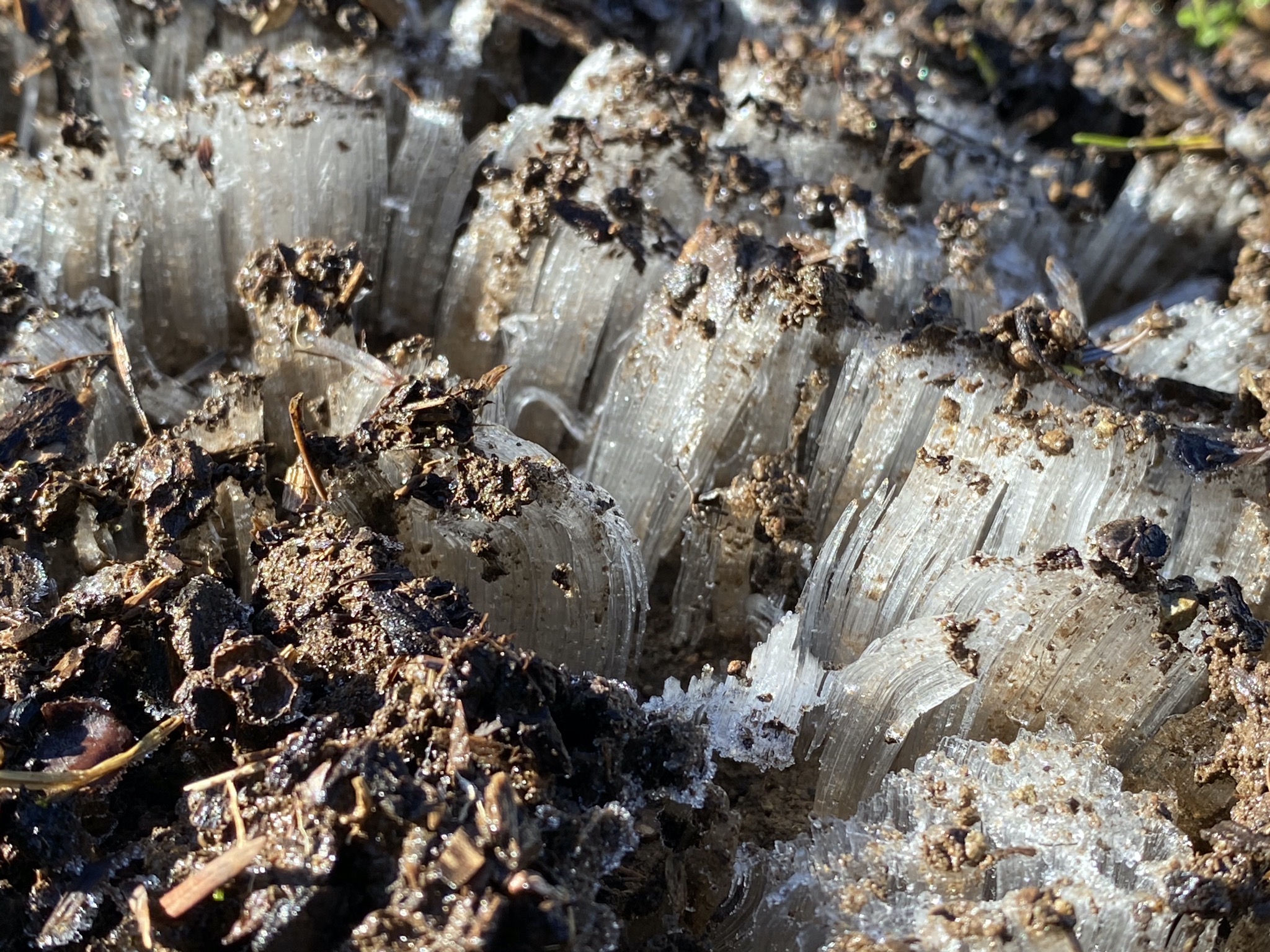 Ice spires in dirt