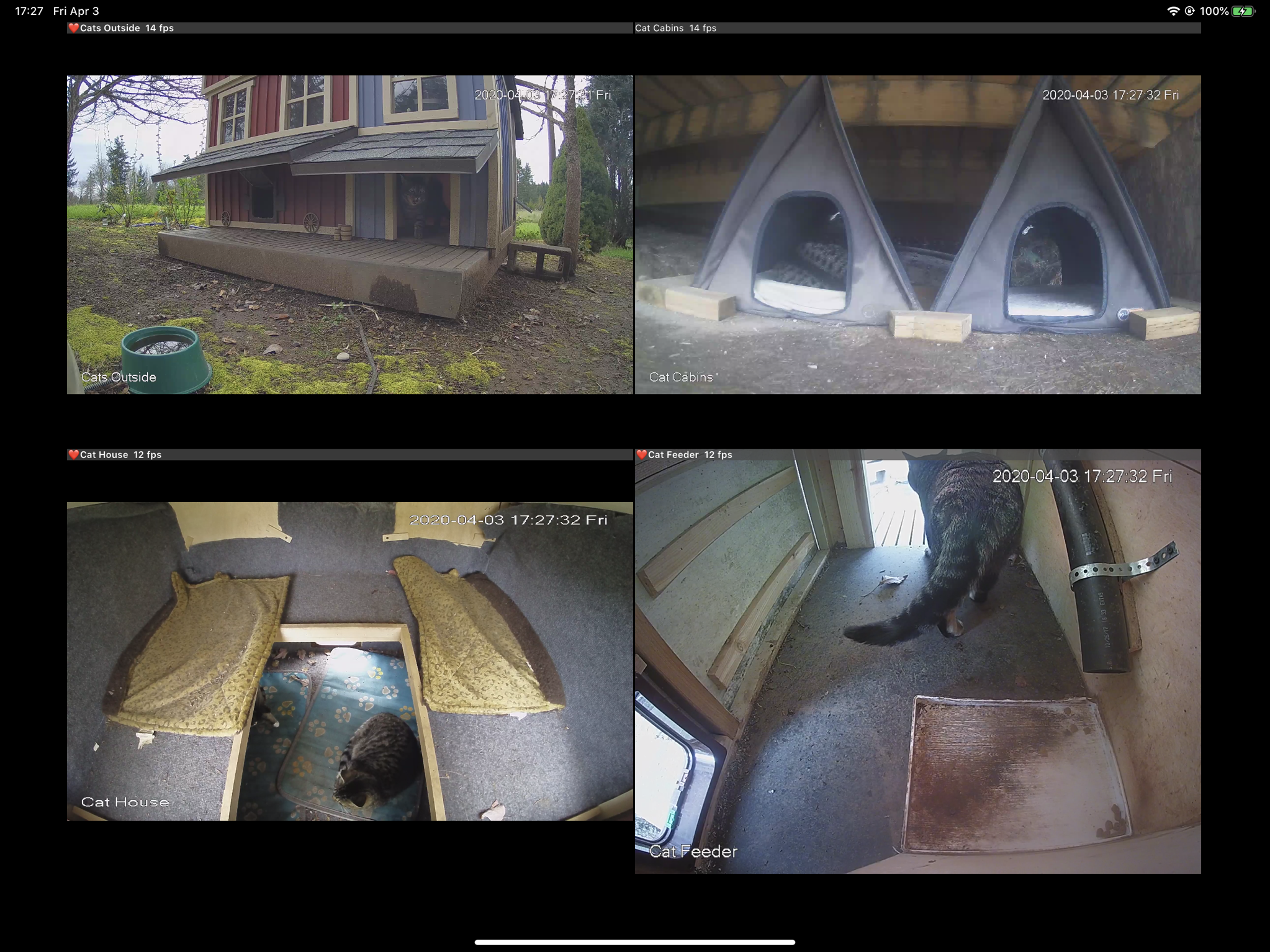 Cat cams