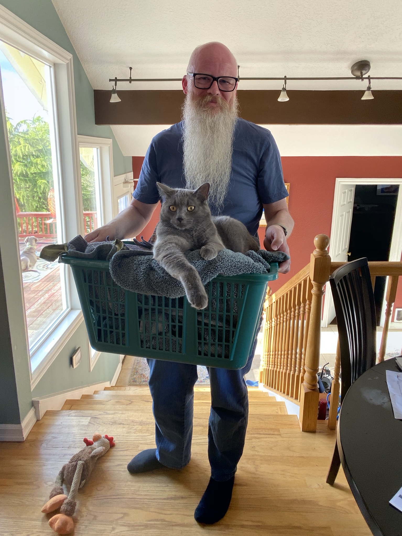 David with Paladin in laundry basket