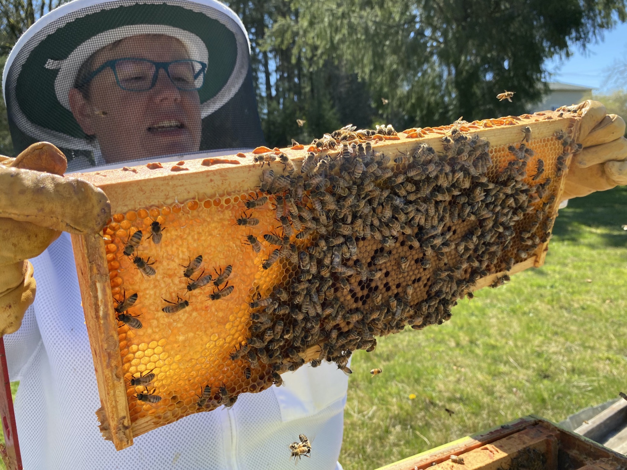 Jenn inspecting beehive frame