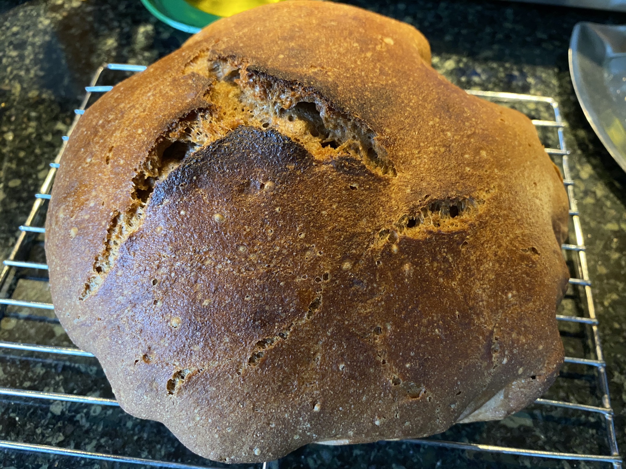 Whole wheat bread