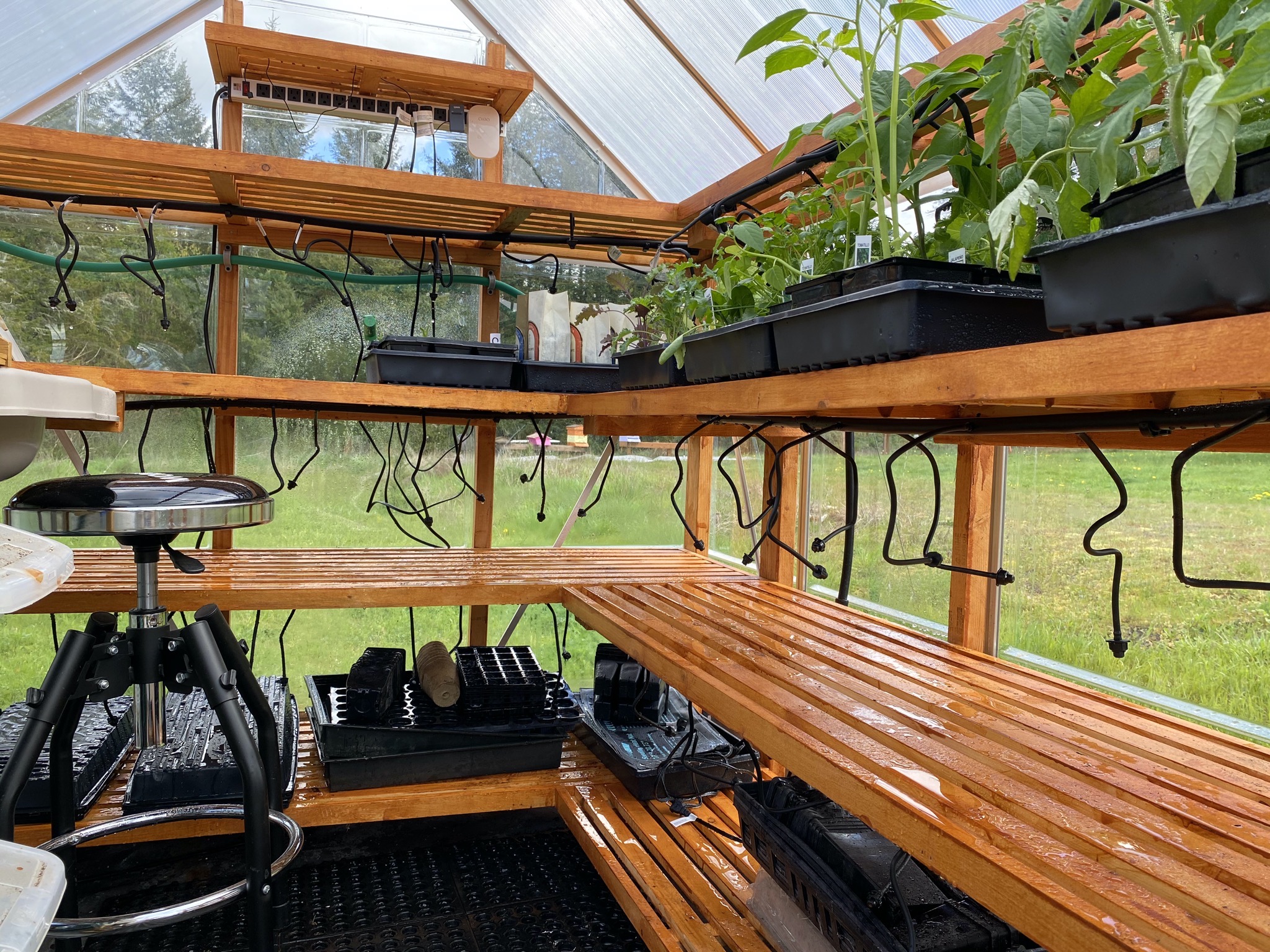 Irrigation misters