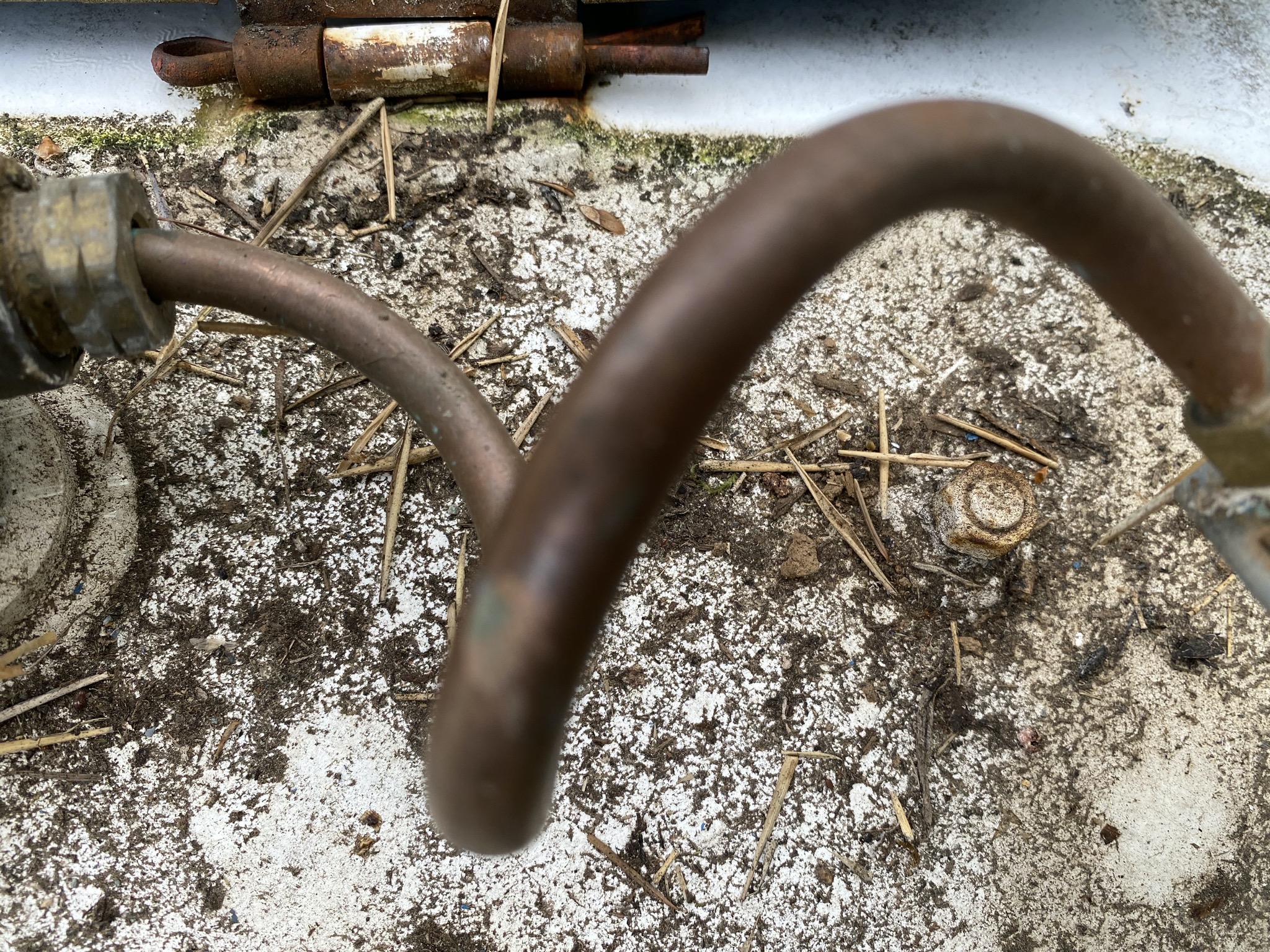 What is it?