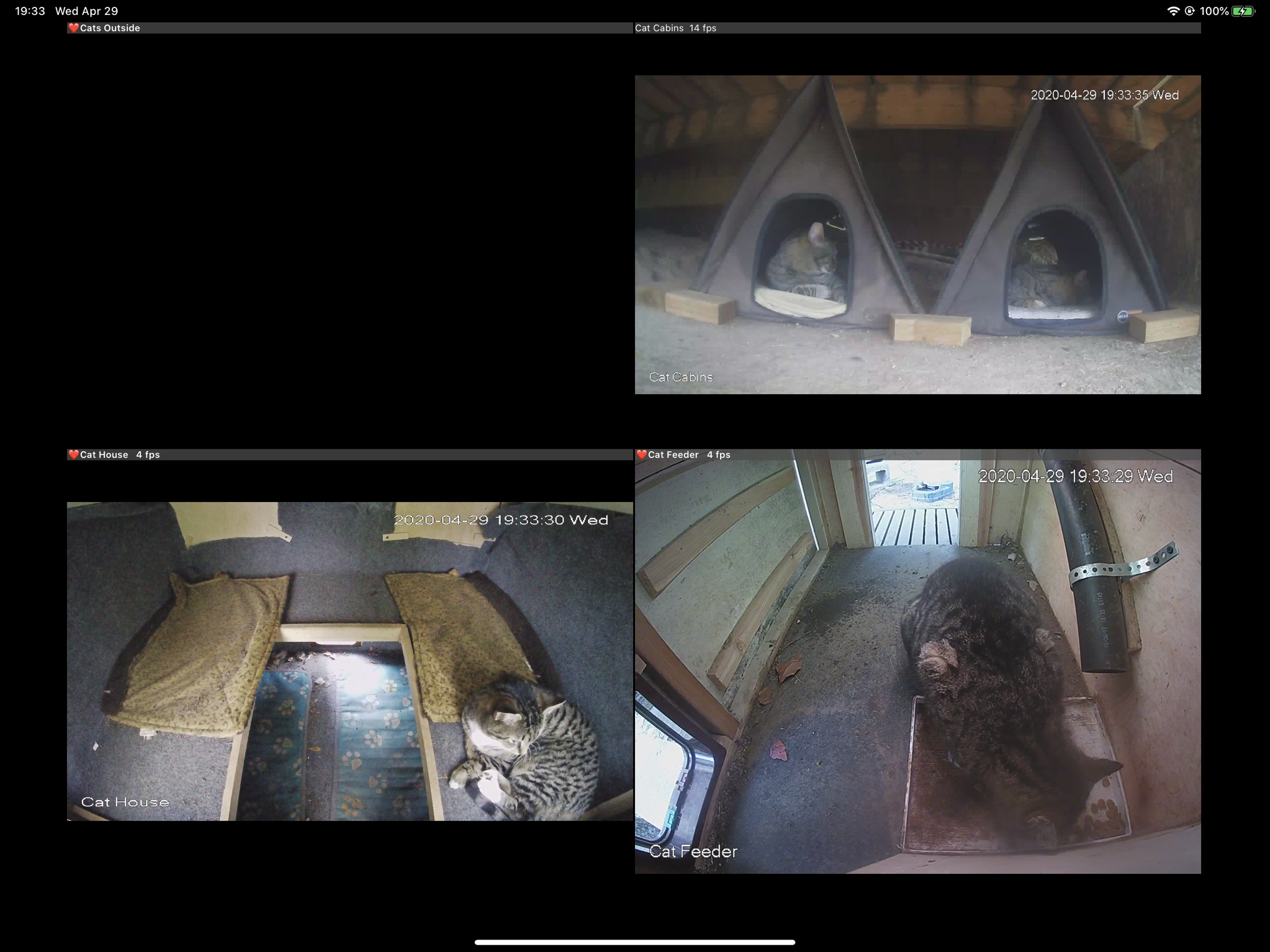 Cat cams