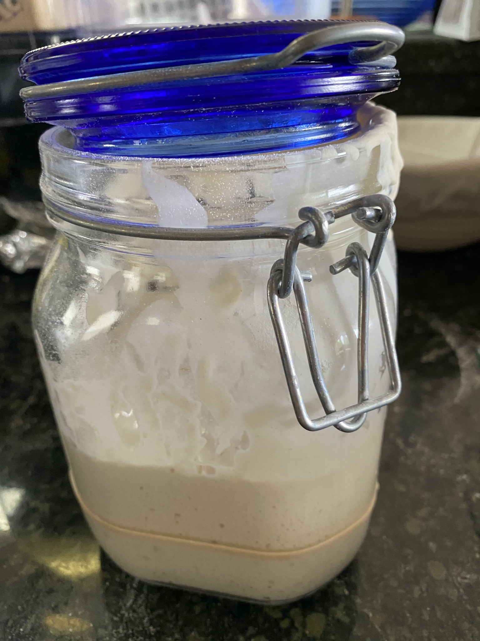 Sourdough starter