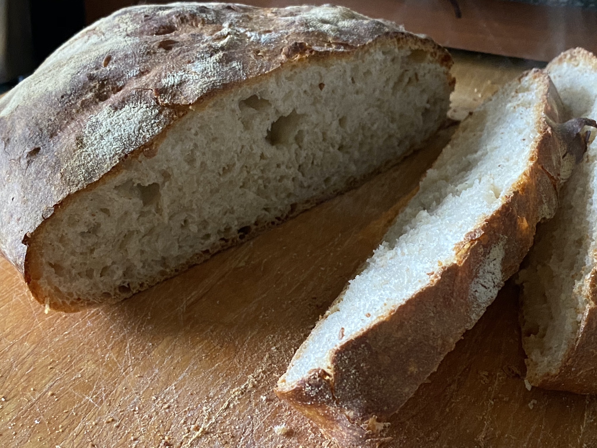 First sourdough bread