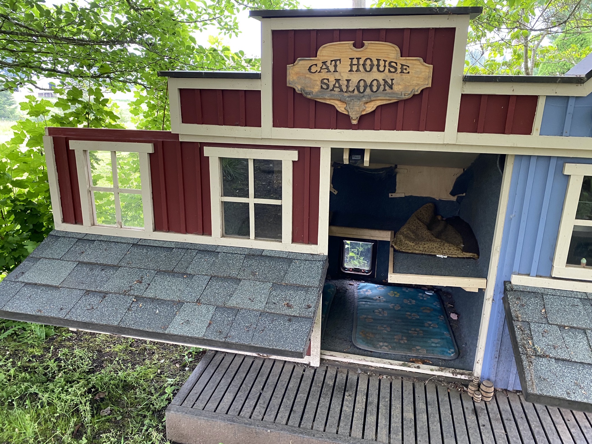 Open cat house