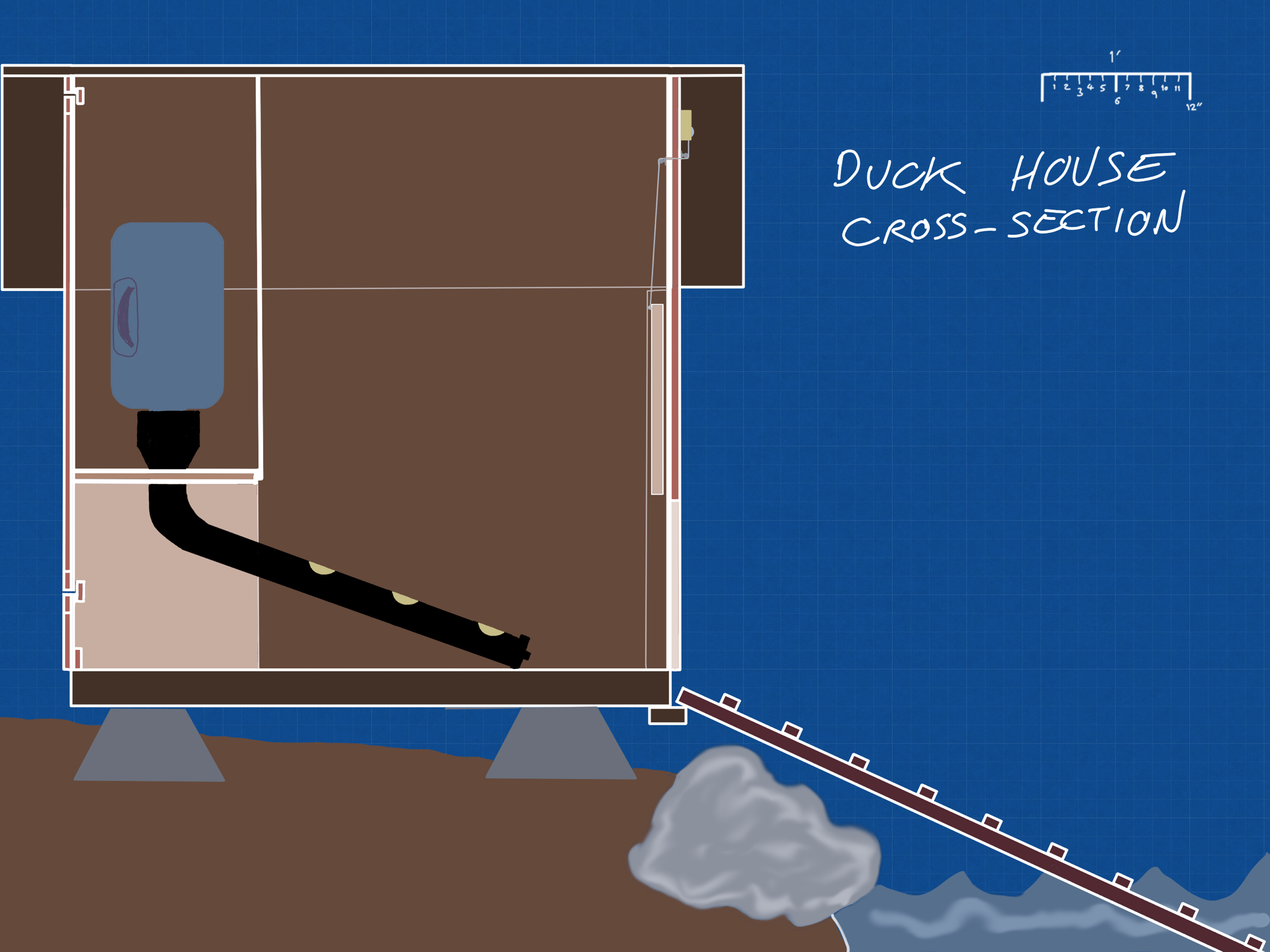 Duck house design