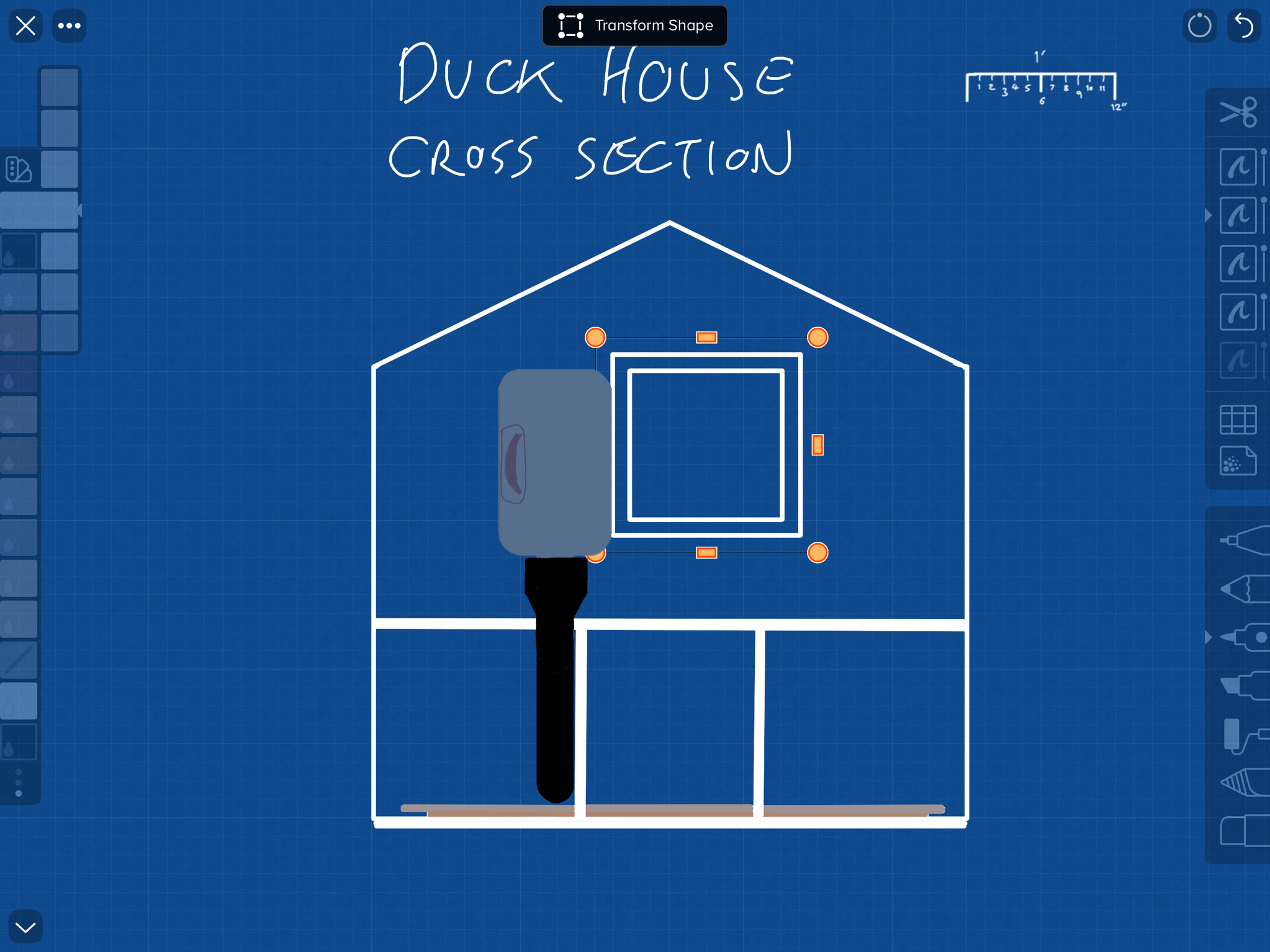 Duck house design