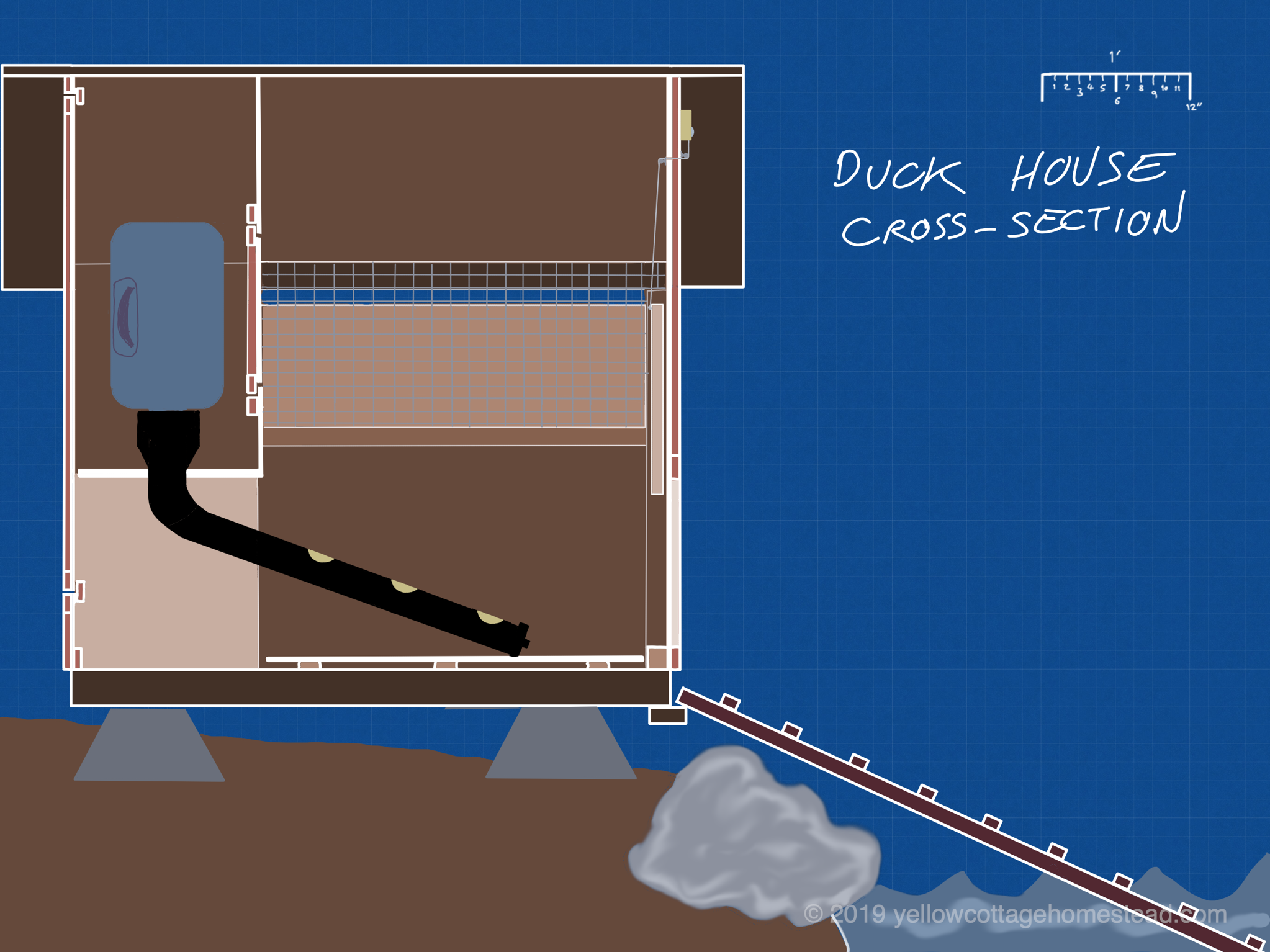 Duck house design