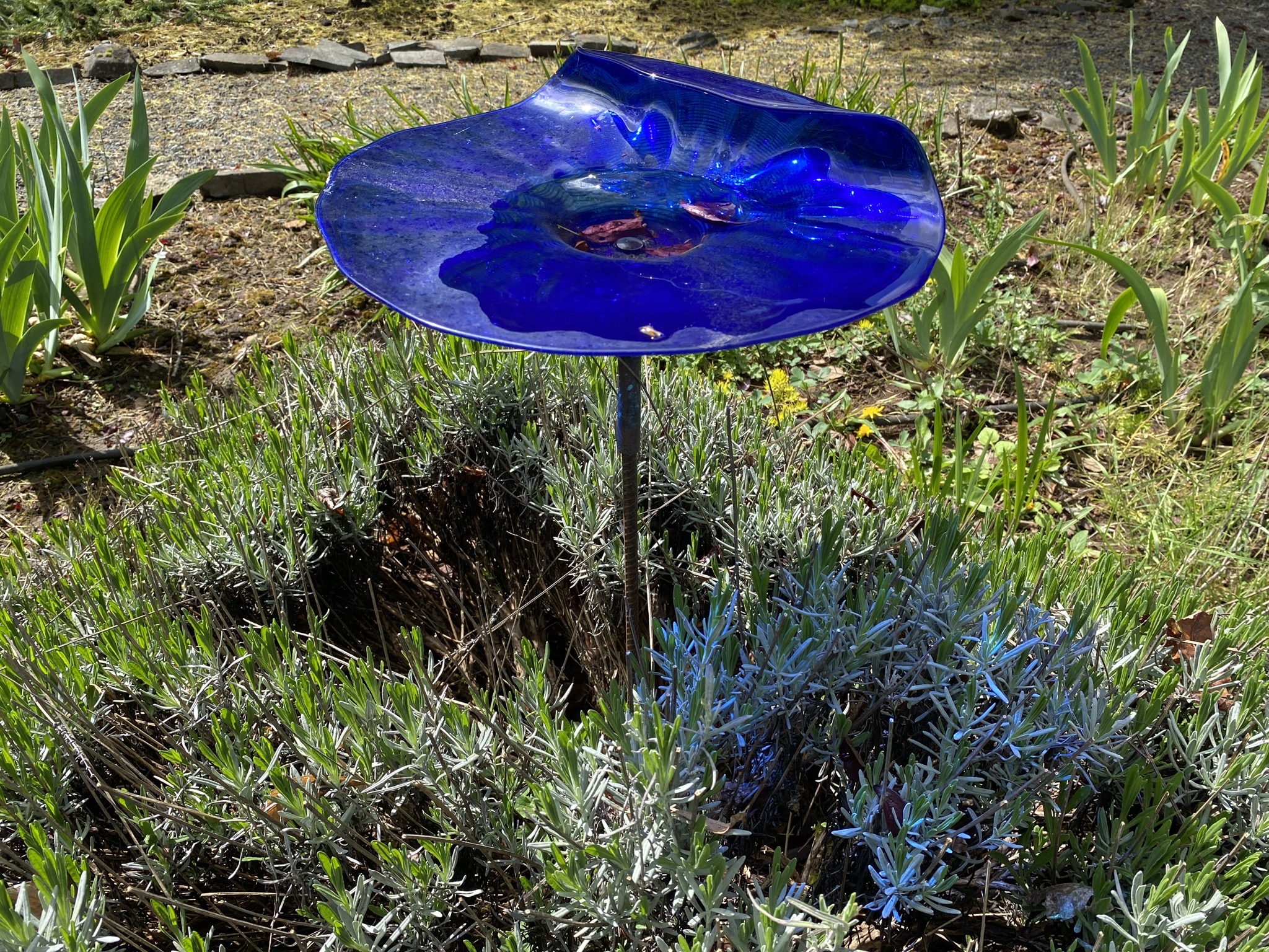 Bird bath