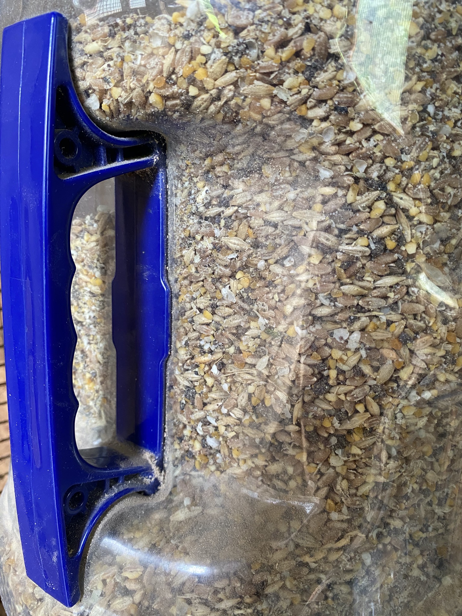 What is this?