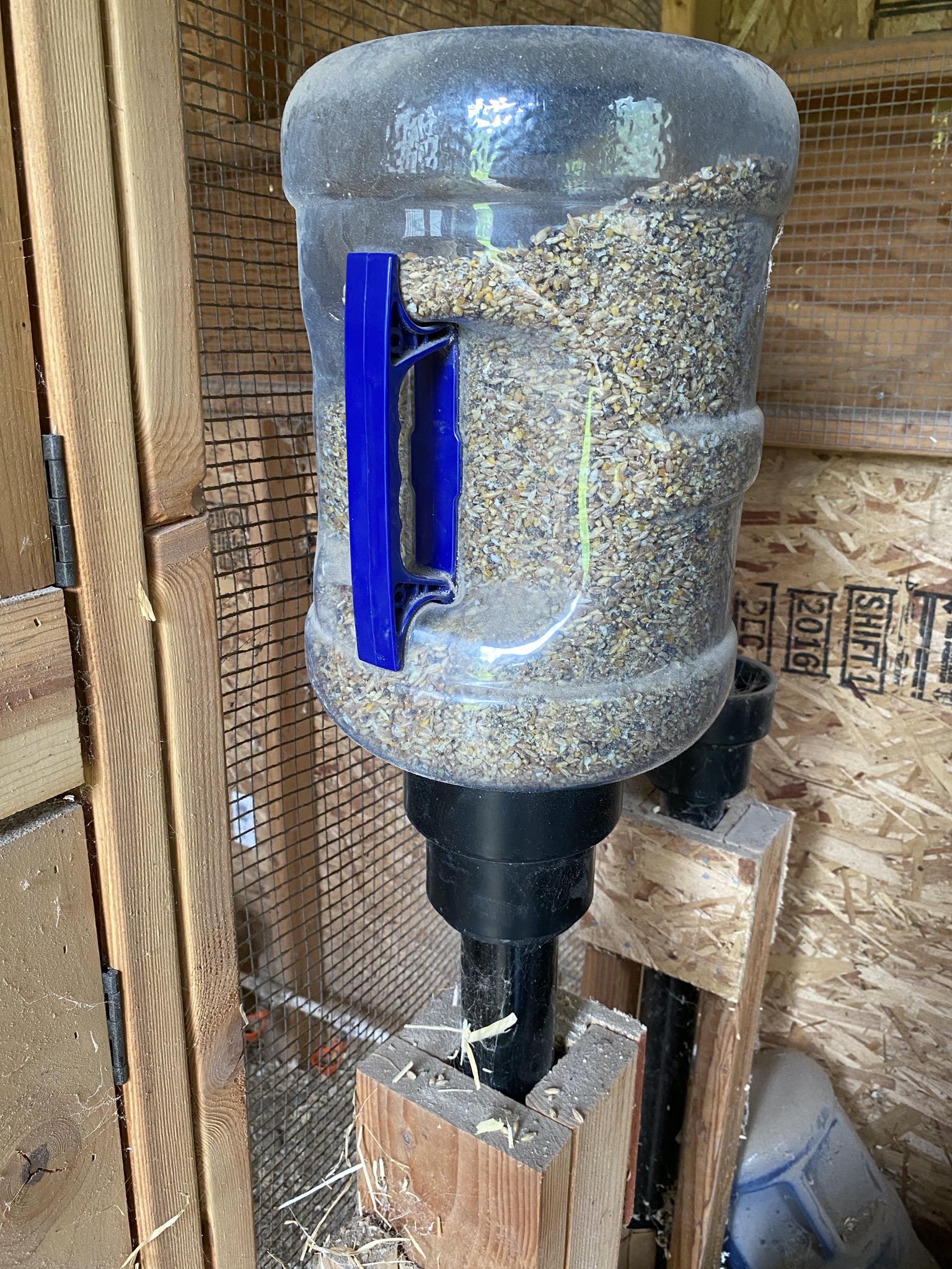 Chicken feed jug