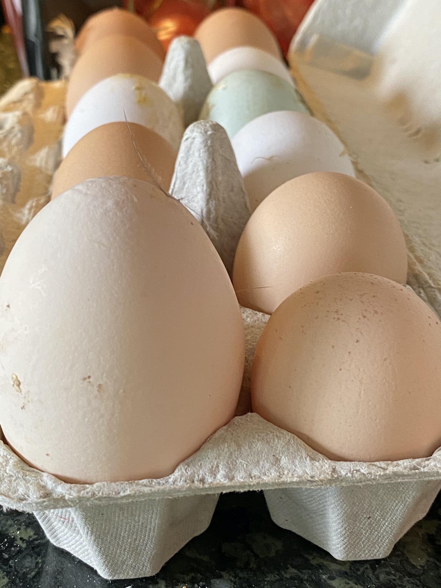 Jumbo egg