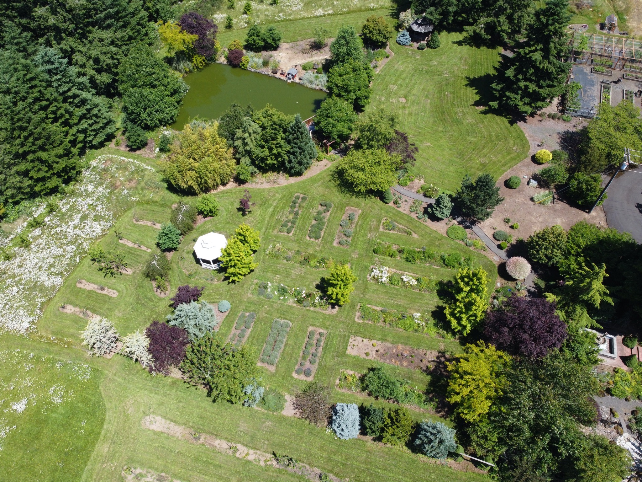 Flowerbeds, back lawn, pond