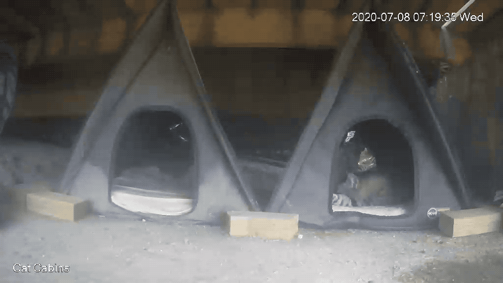 GIF of Poppa and Pommie