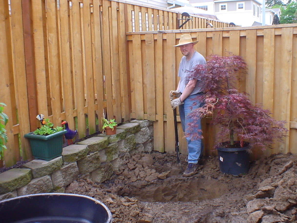 David digging for a pond