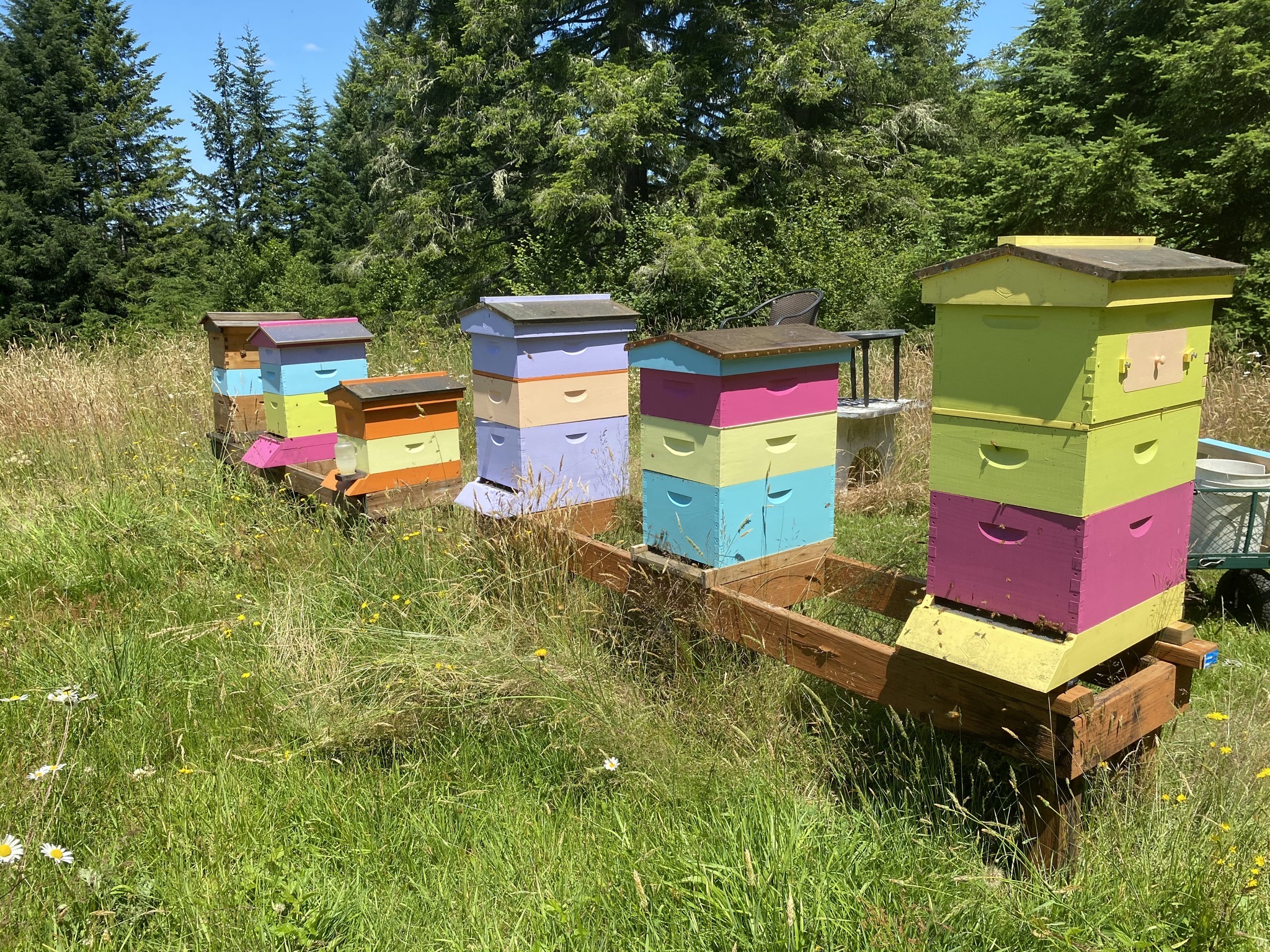 Beehives