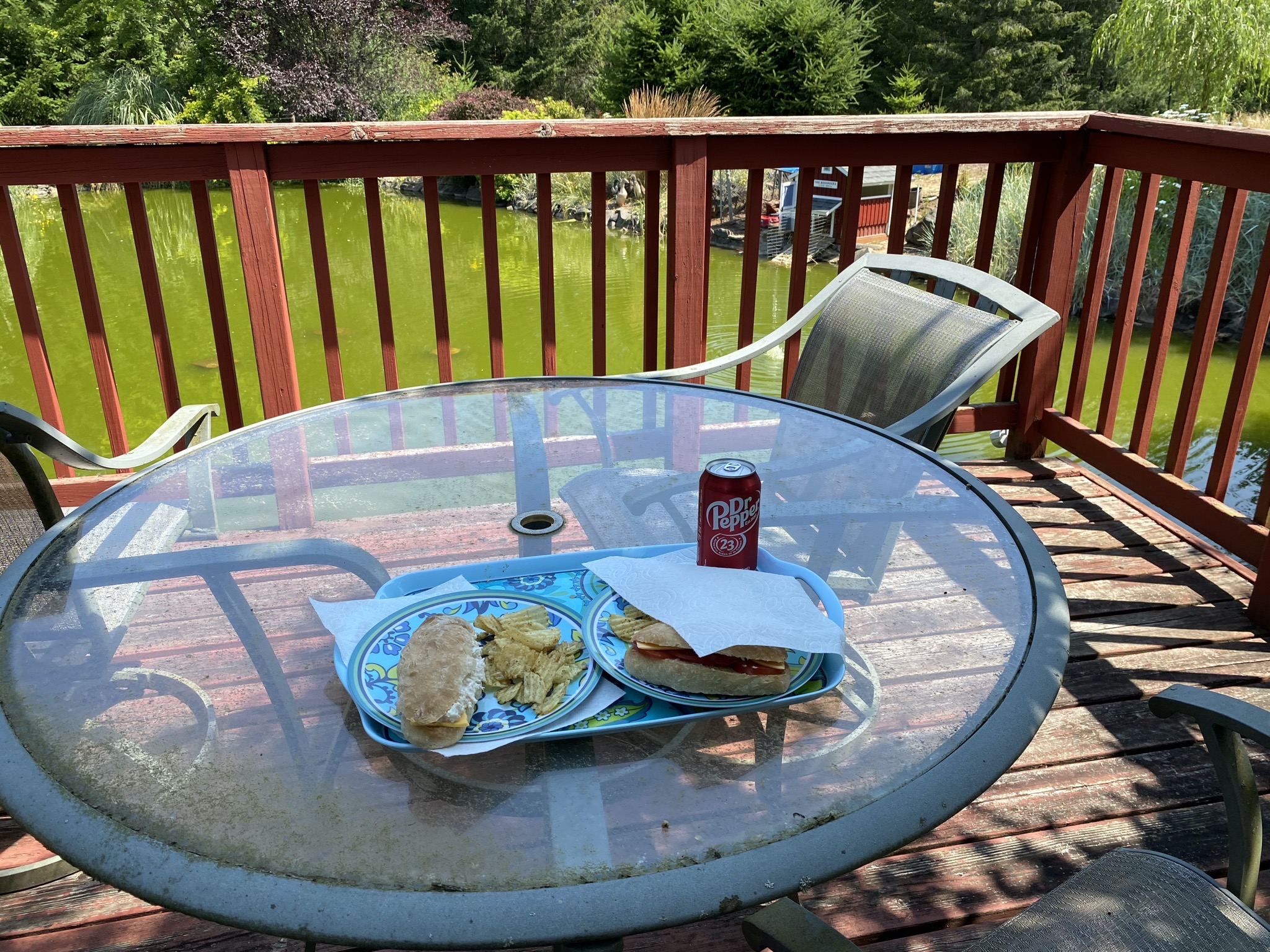 Lunch at the pond