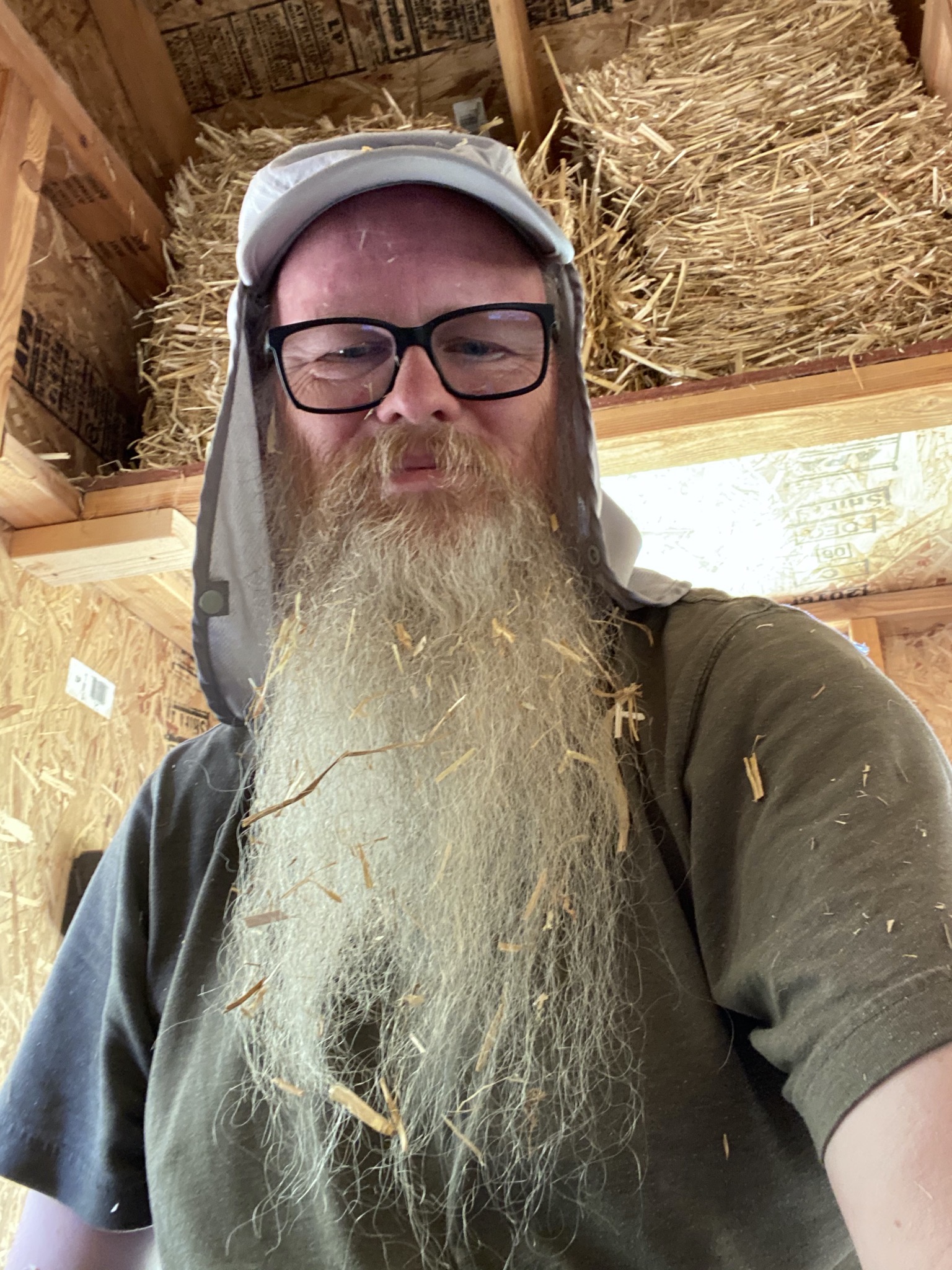 David after storing straw