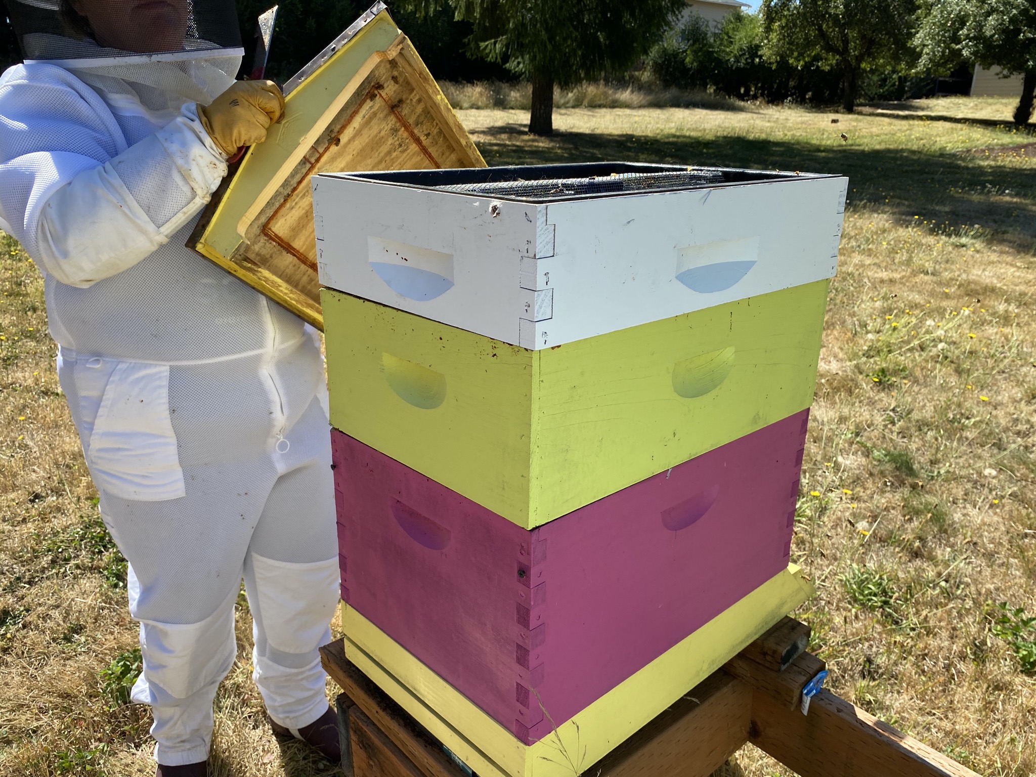 Top feeder on hive