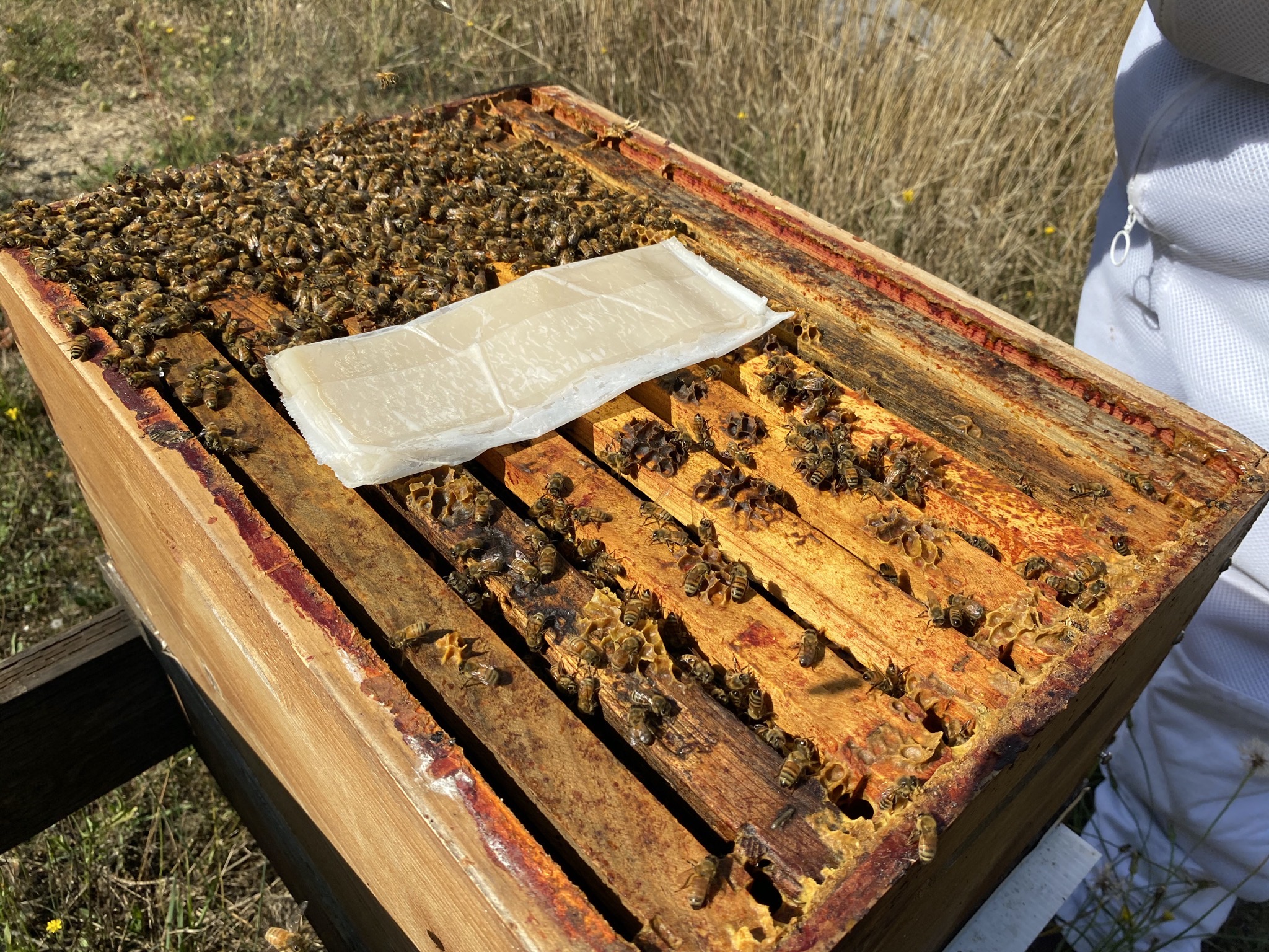 Beehive mite treatment