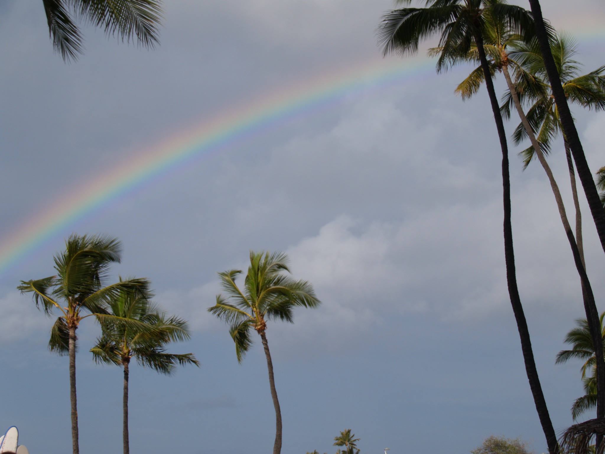 Rainbow