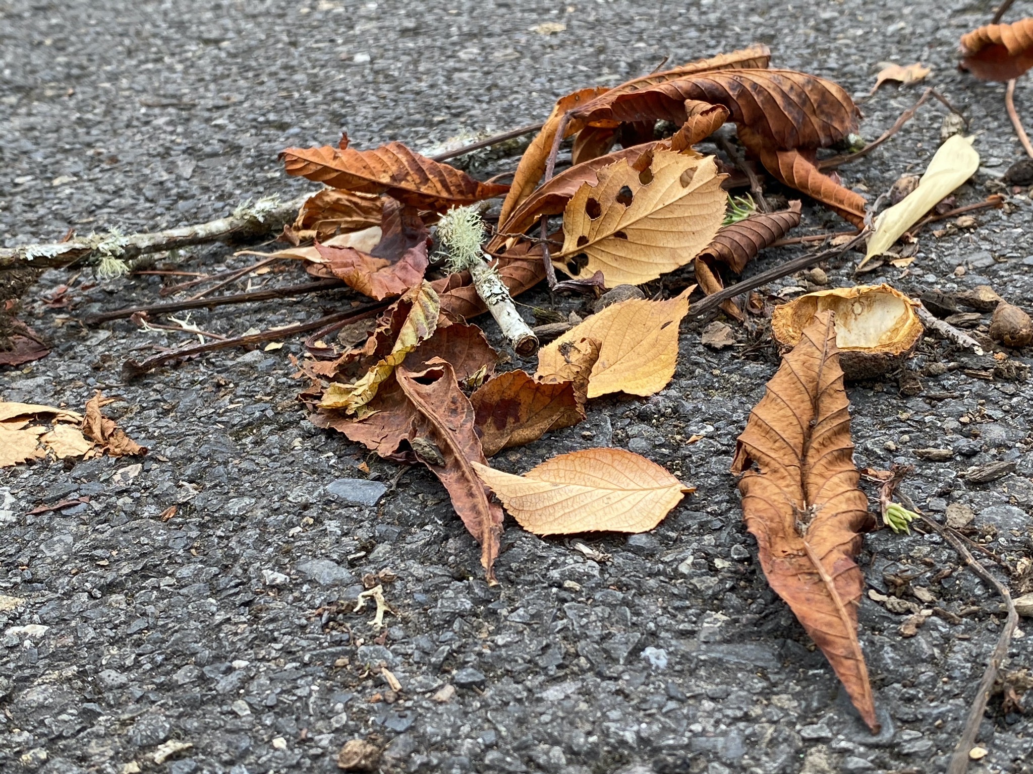Debris-y