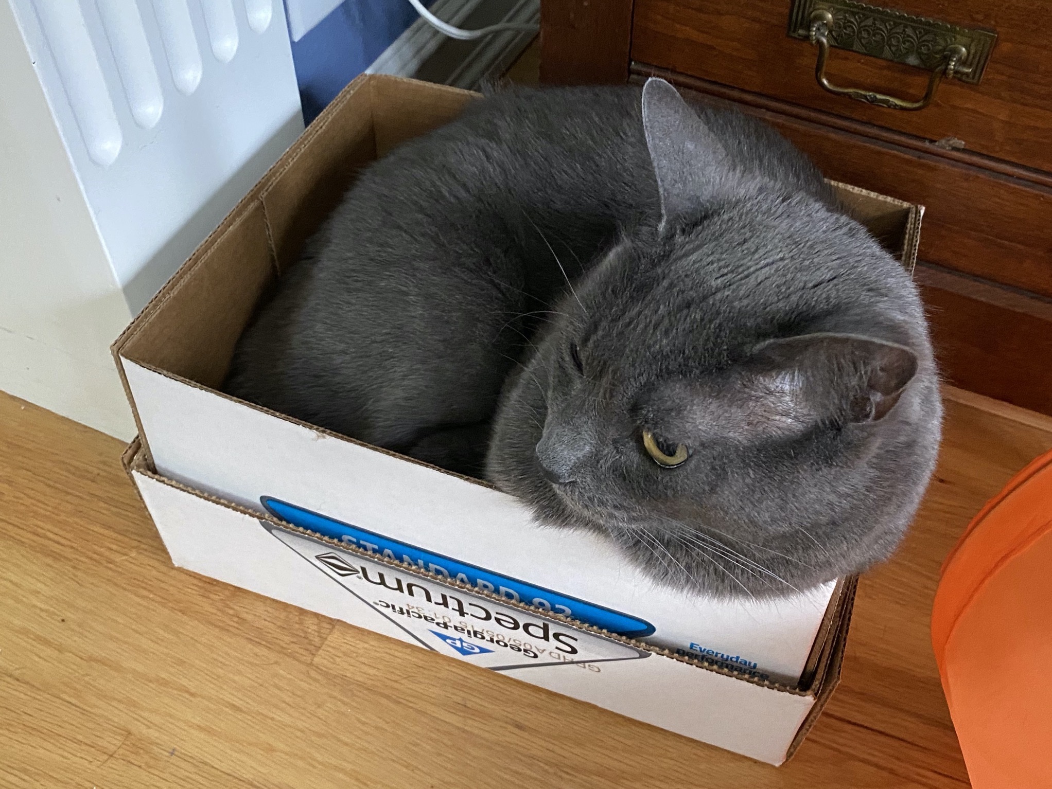 Paladin in a box