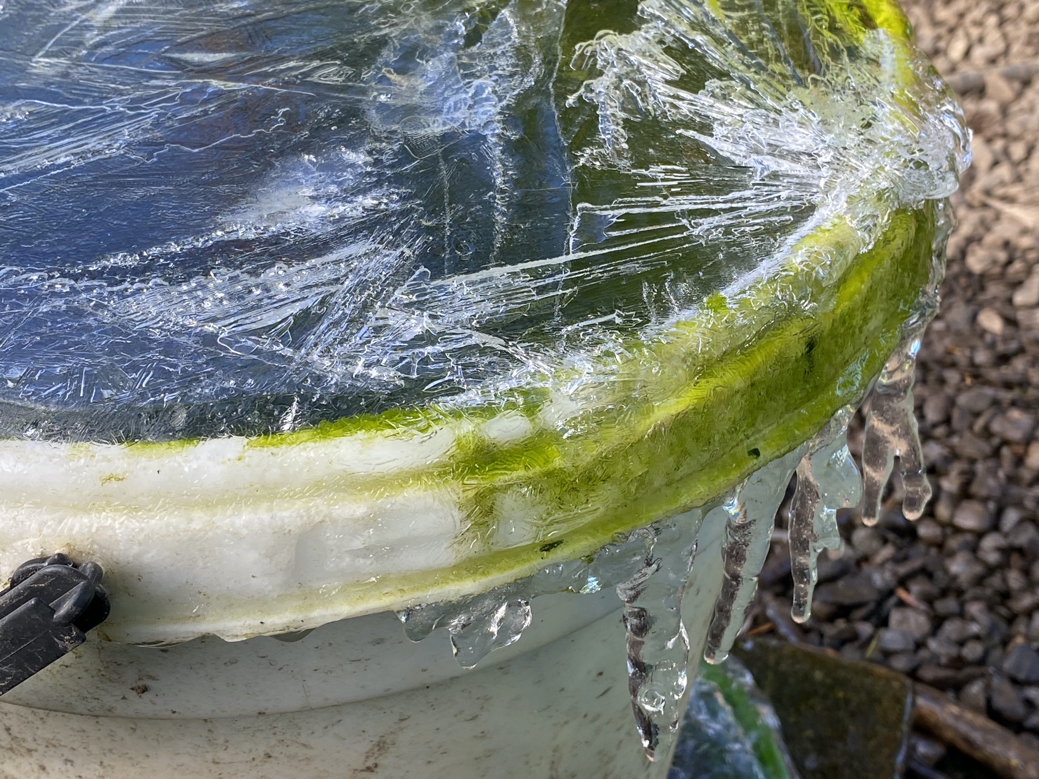Frozen waterer