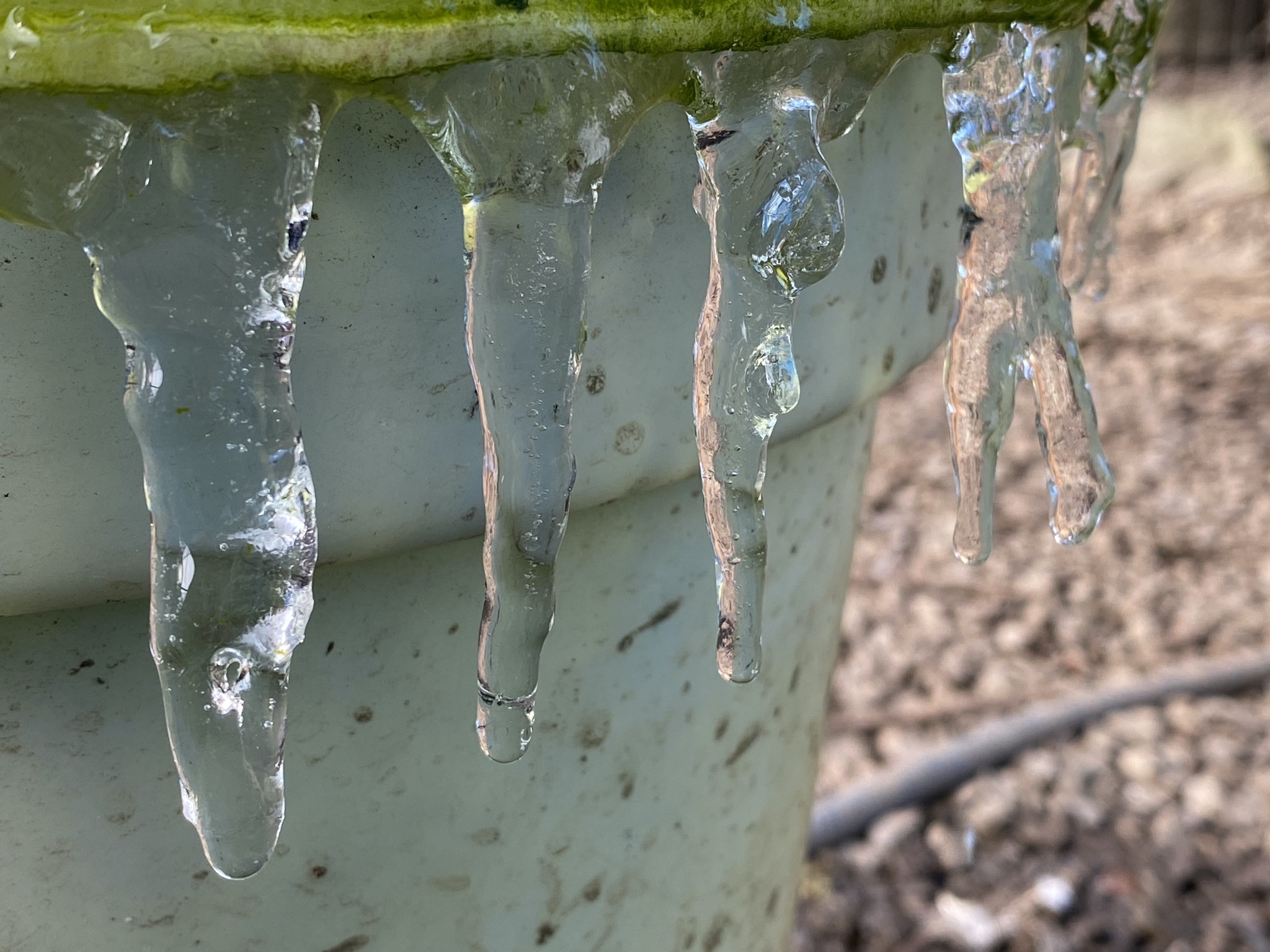 Icicles