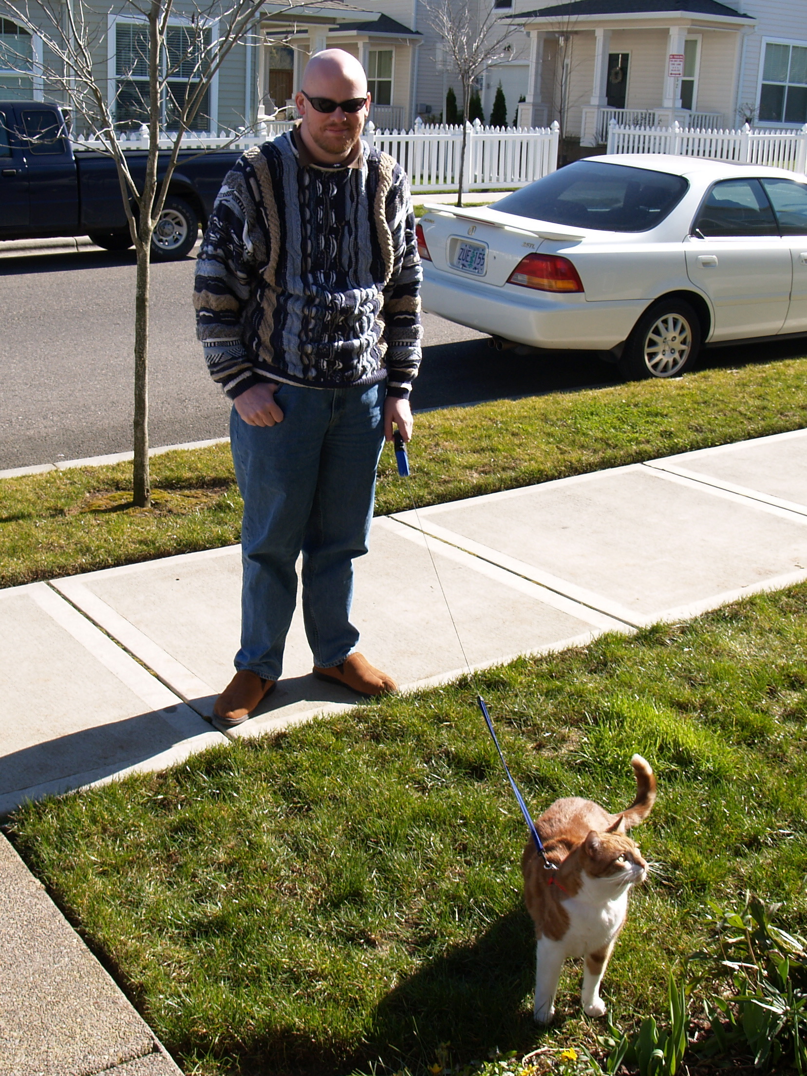 David and Pixel