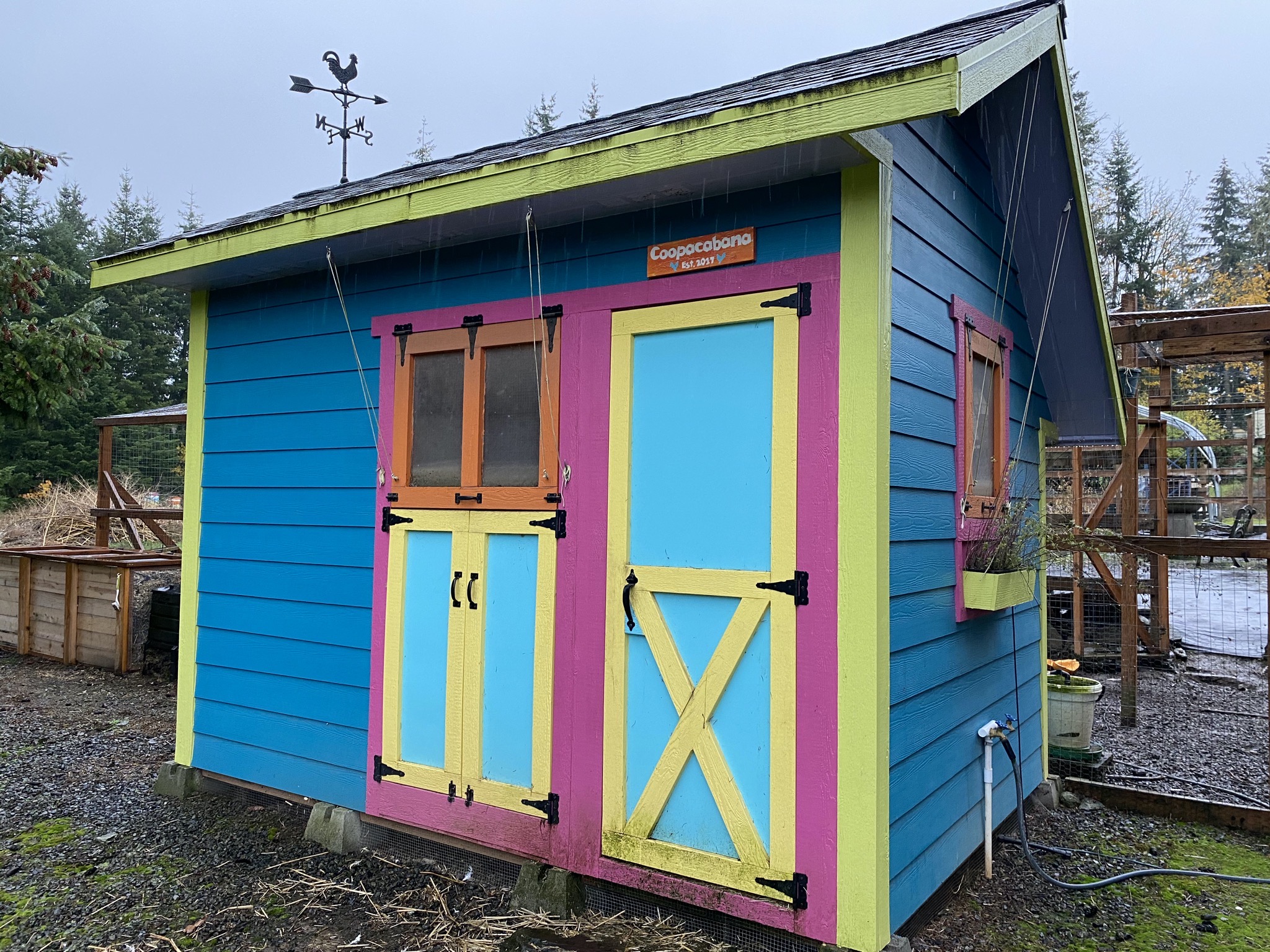 New chicken coop