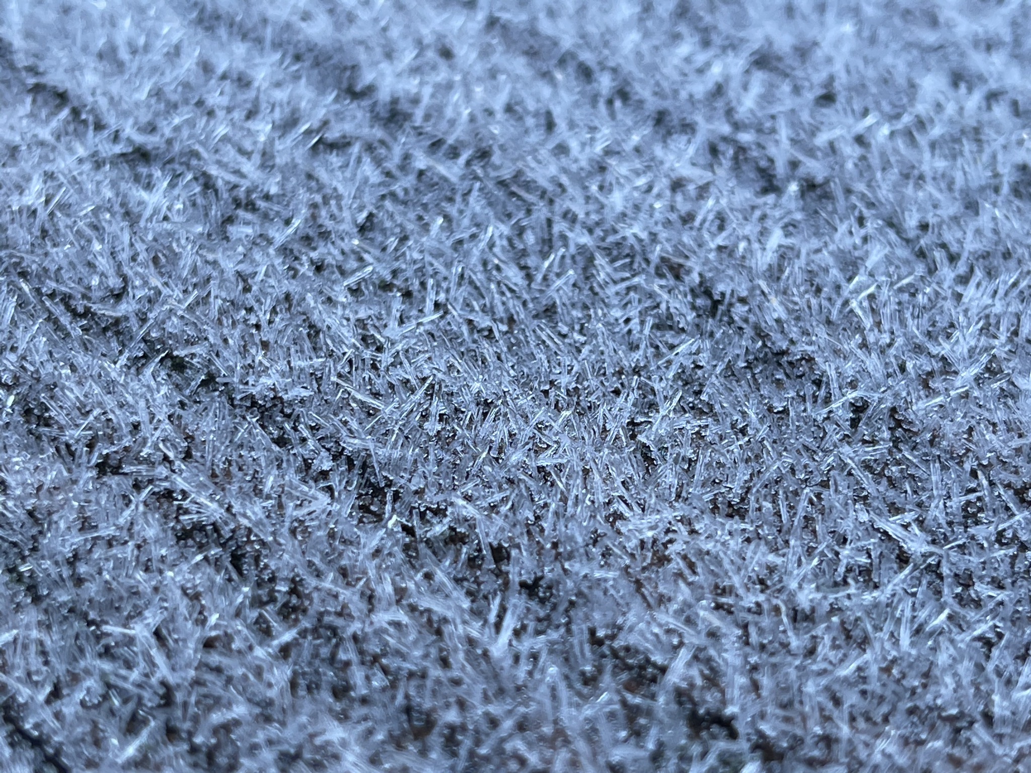 Frost on deck