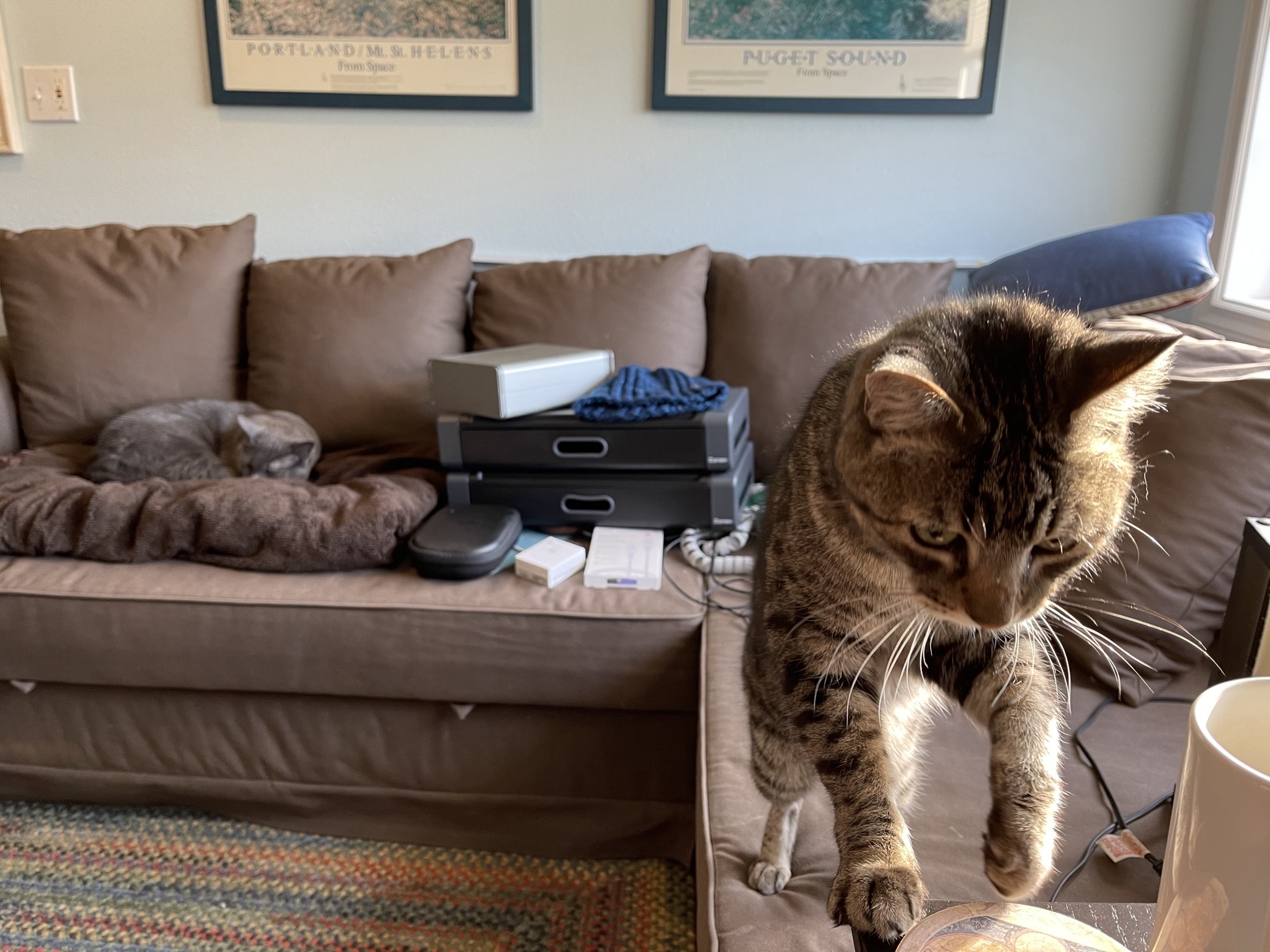 Paladin and Pippin