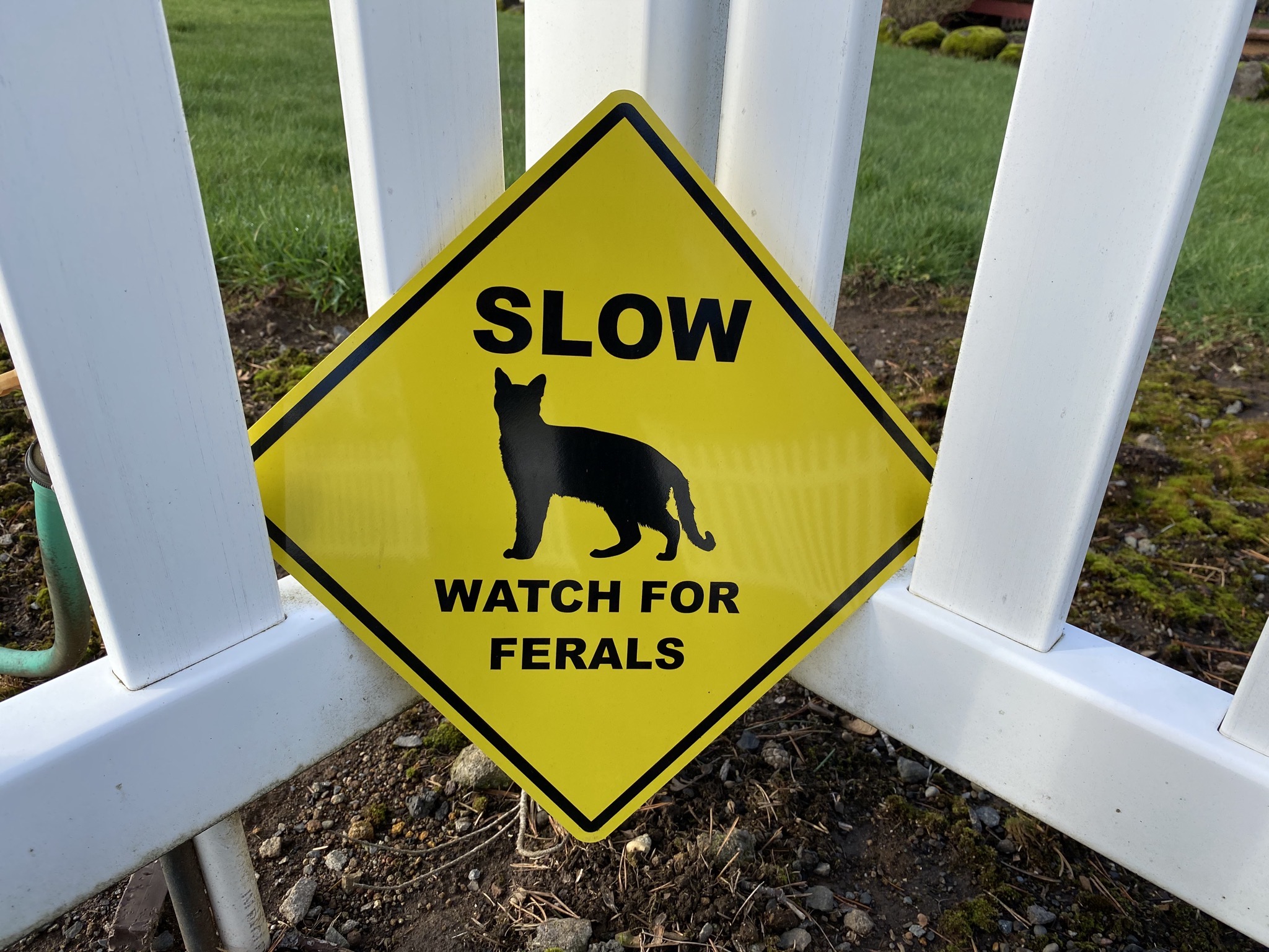 Watch for ferals sign